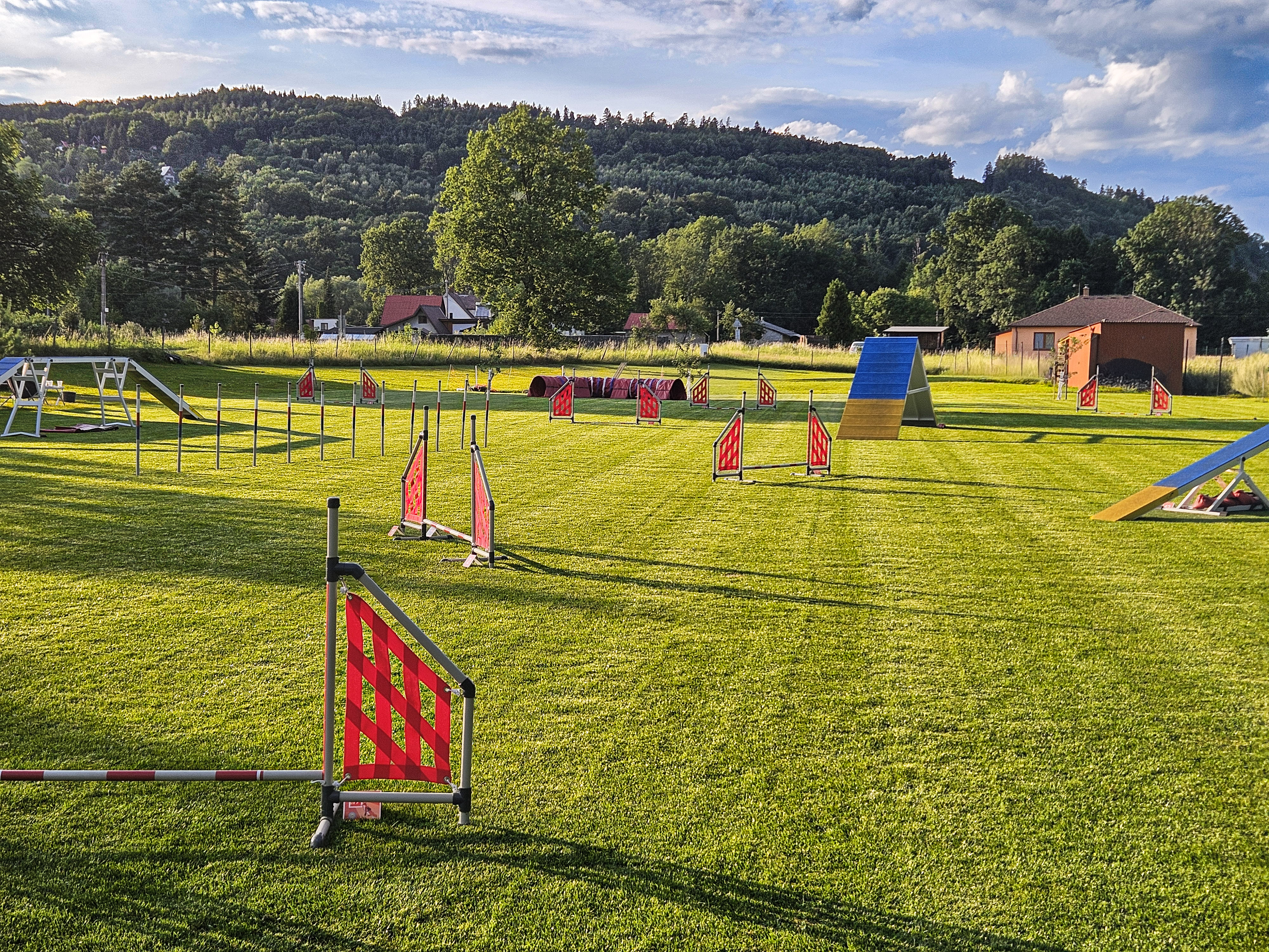 Beskid paws foto 2
