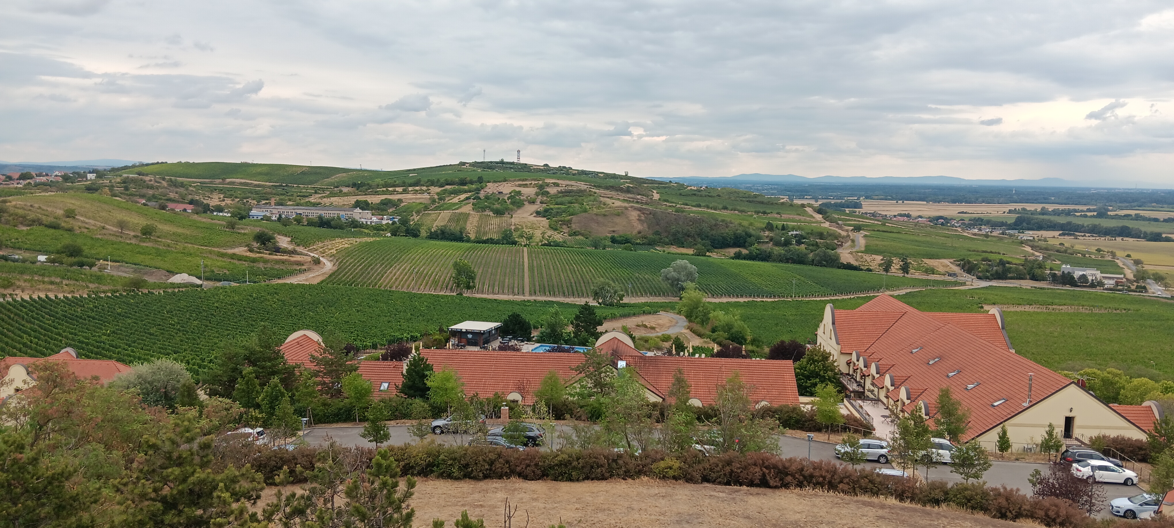 Vinařství U Kapličky, s.r.o. foto 5
