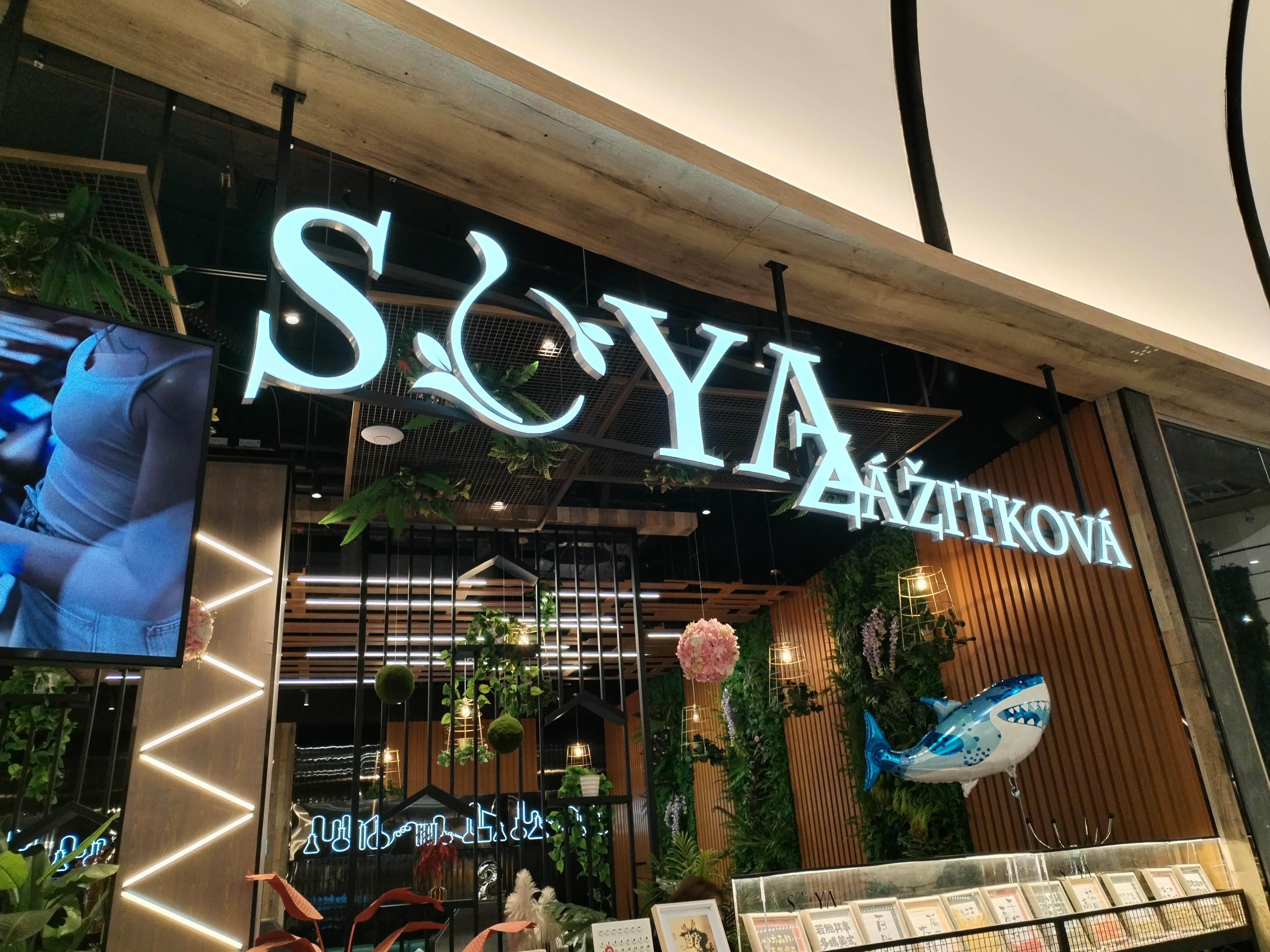 SOYA foto 3