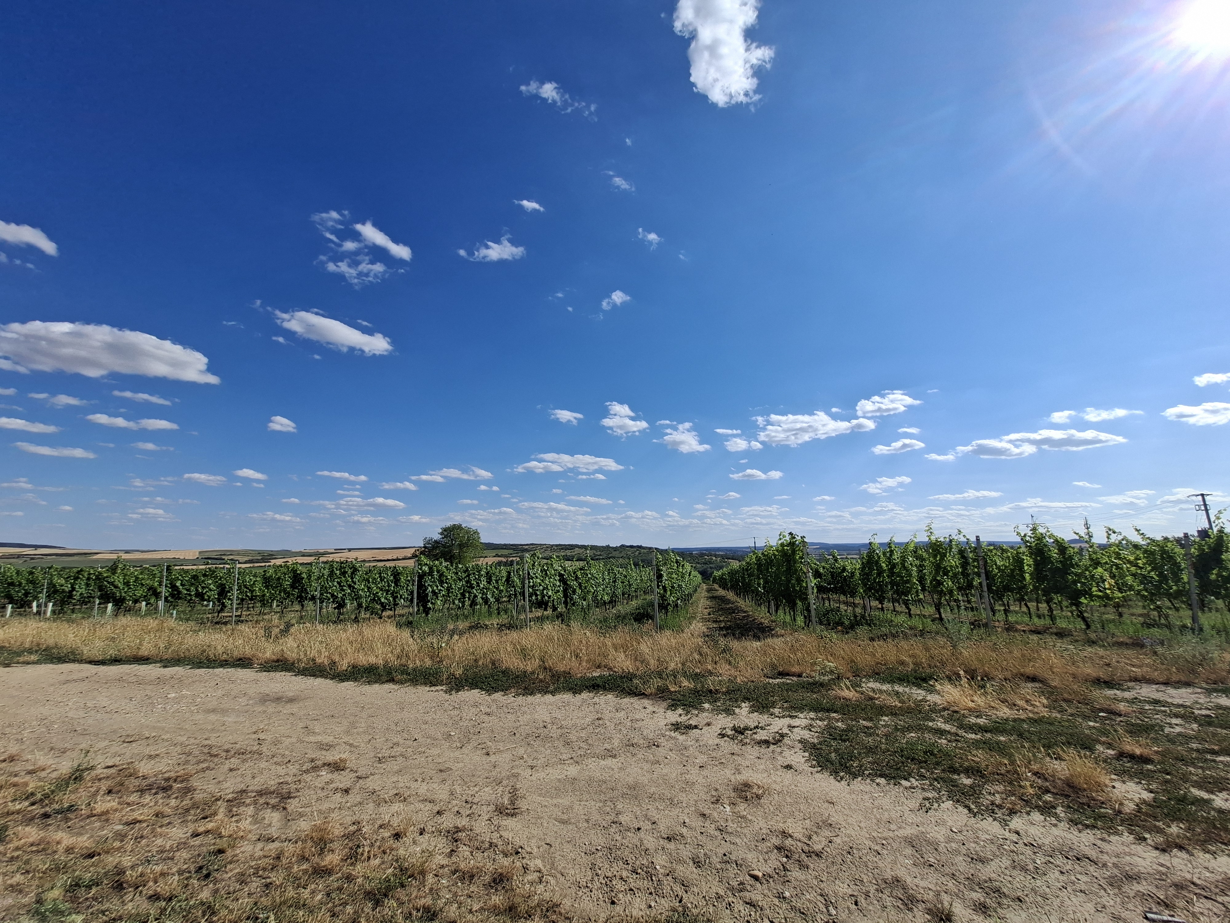 Apartmány Mušlovské vinohrady foto 1