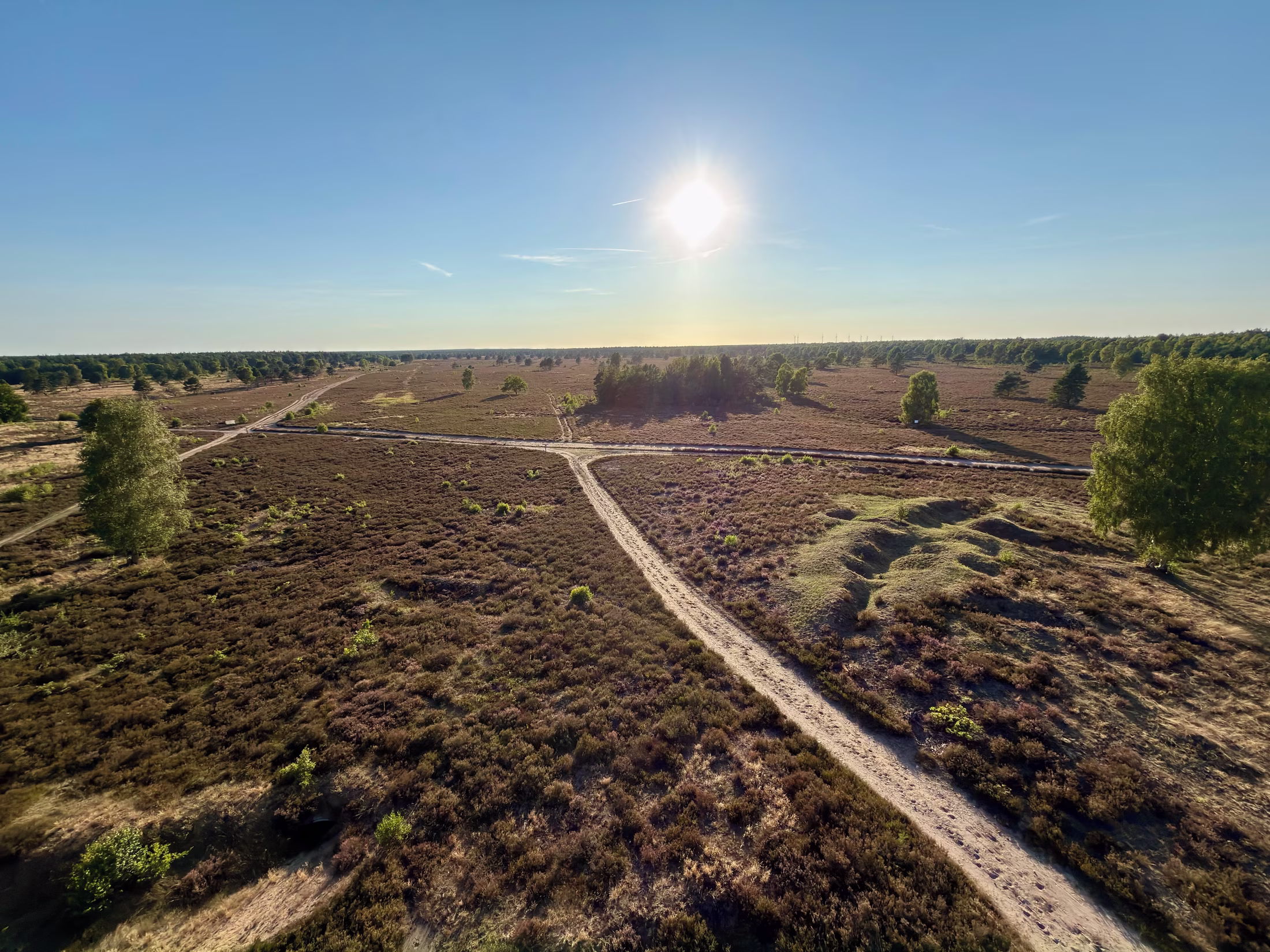 Wittstock-Ruppiner Heide