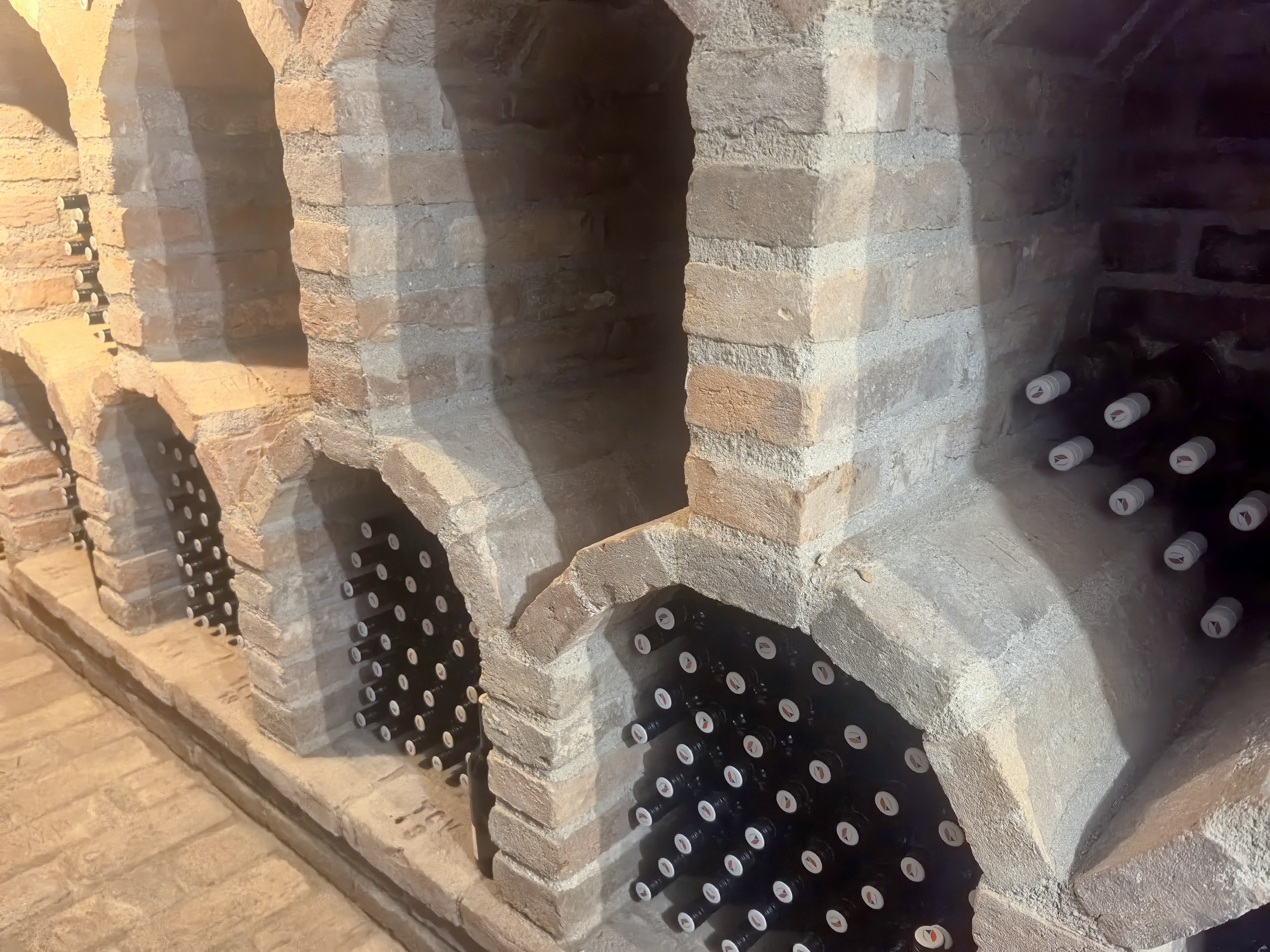 Vinařský dům Sedlec - degustační sklep foto 4