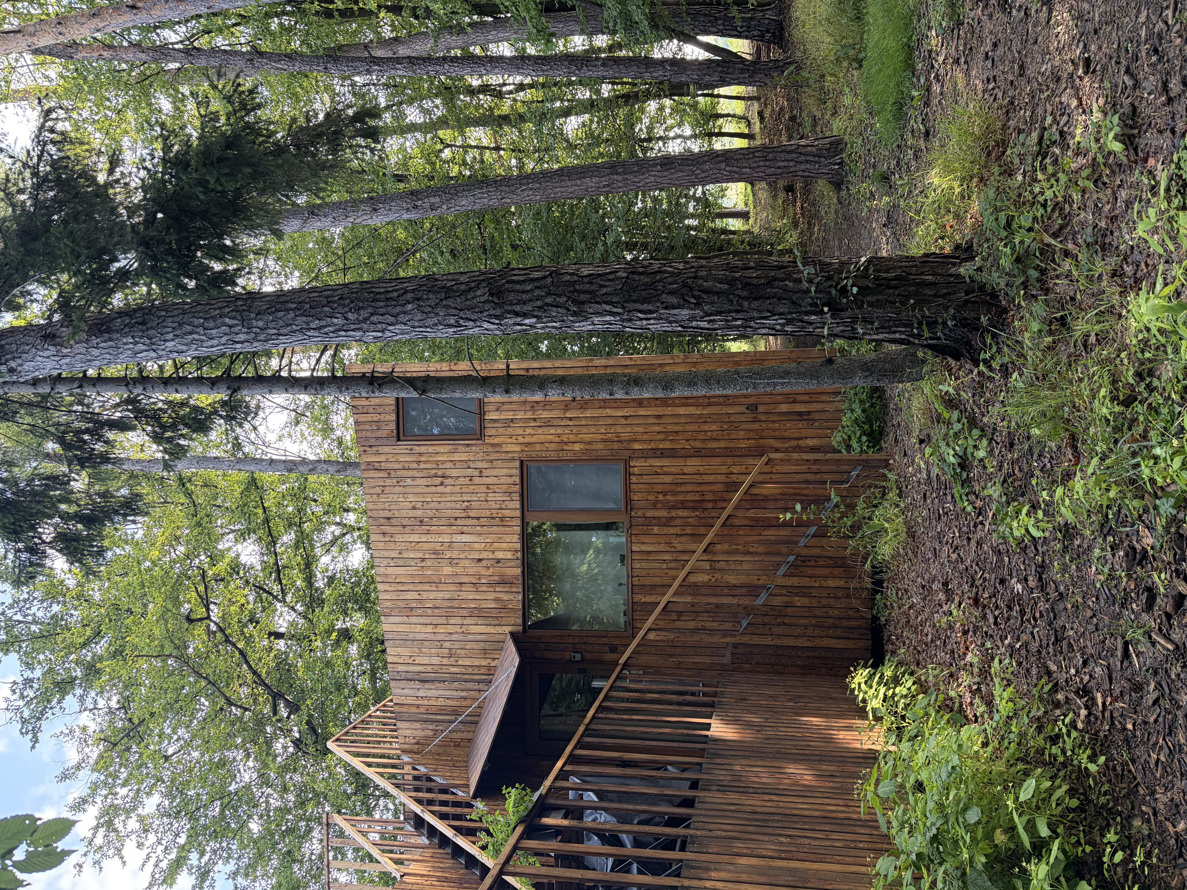 Karpaty Glamp foto 3