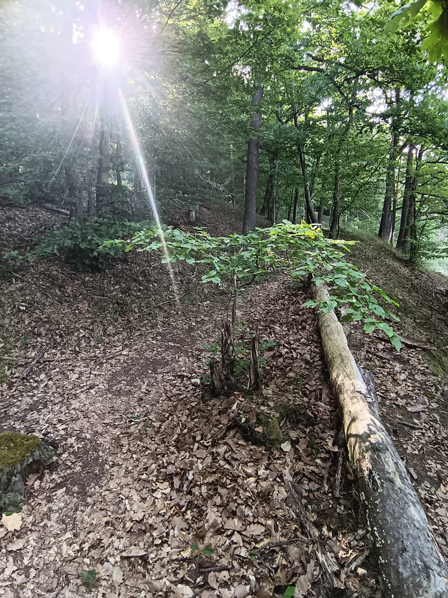 Dětský tábor Častoboř foto 5