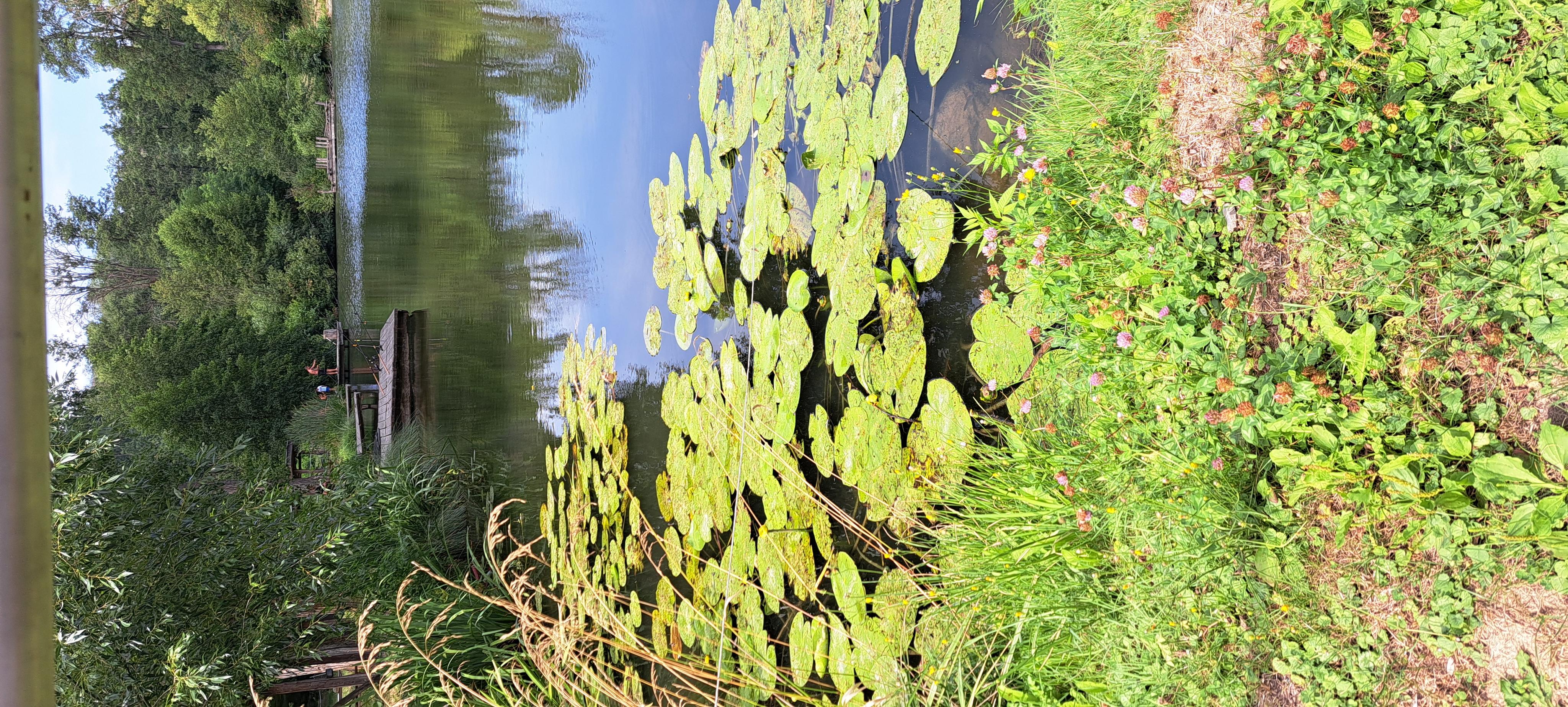 Hospůdka na Zukalově rybníku foto 6
