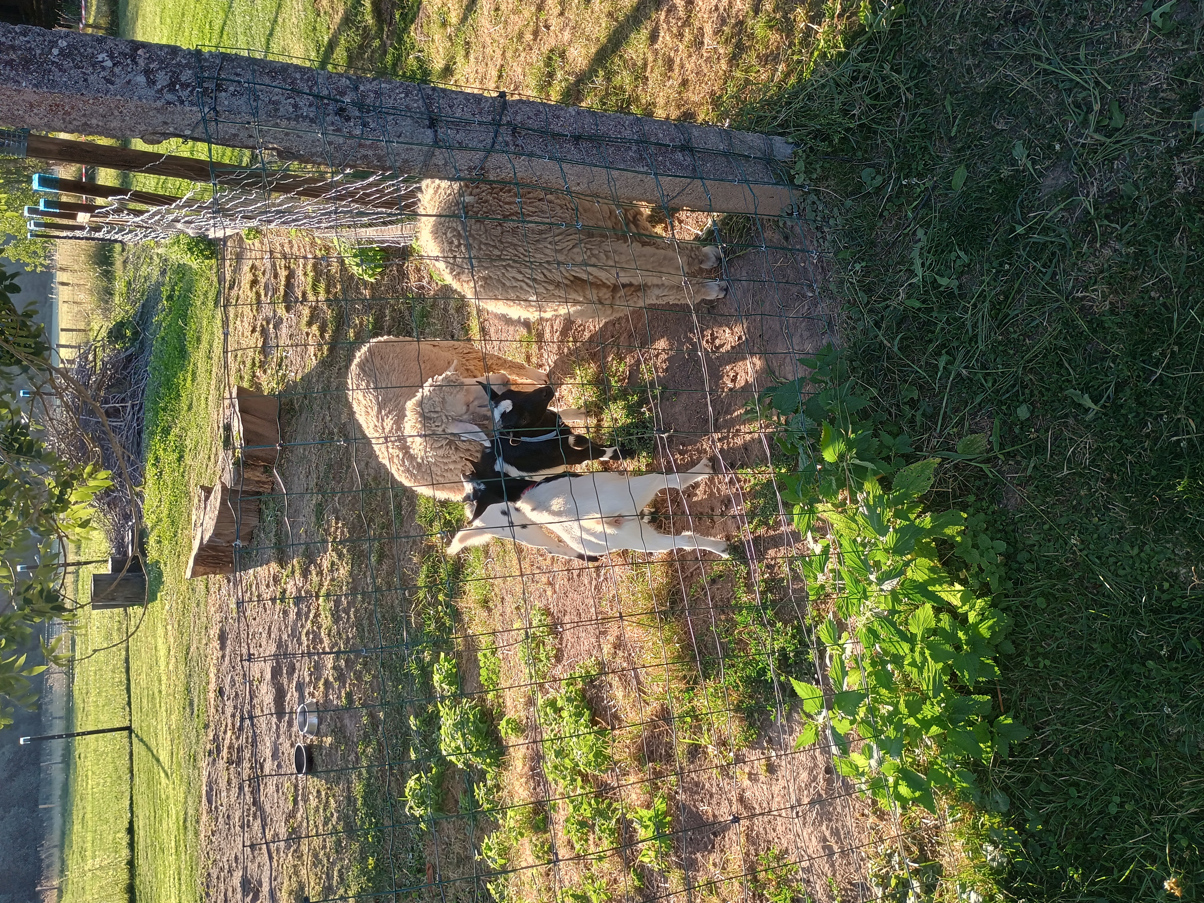 Apartmány Ktová foto 4