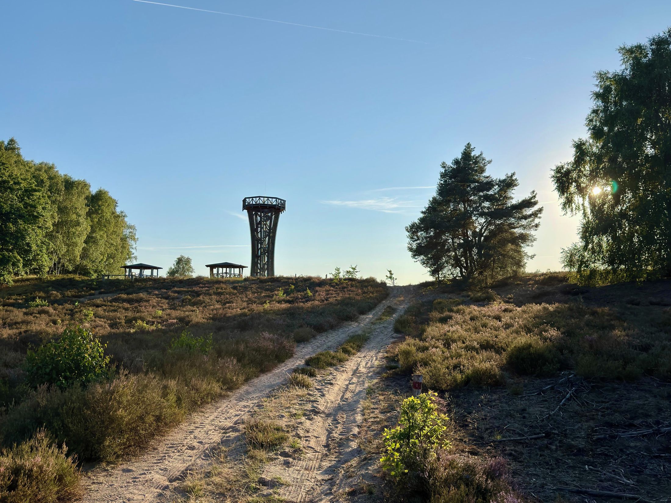 Wittstock-Ruppiner Heide