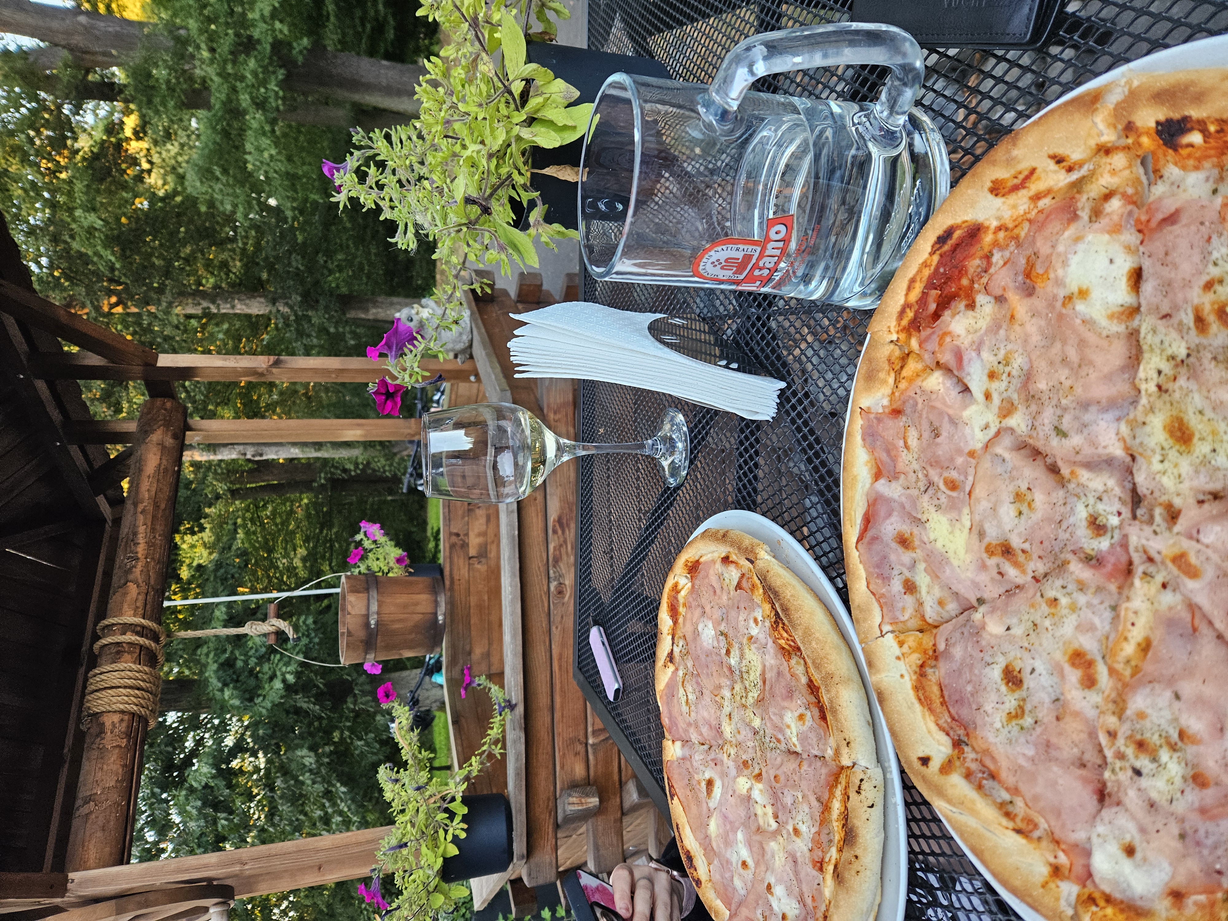 Pizza park - pizzerie Chodová Planá foto 4