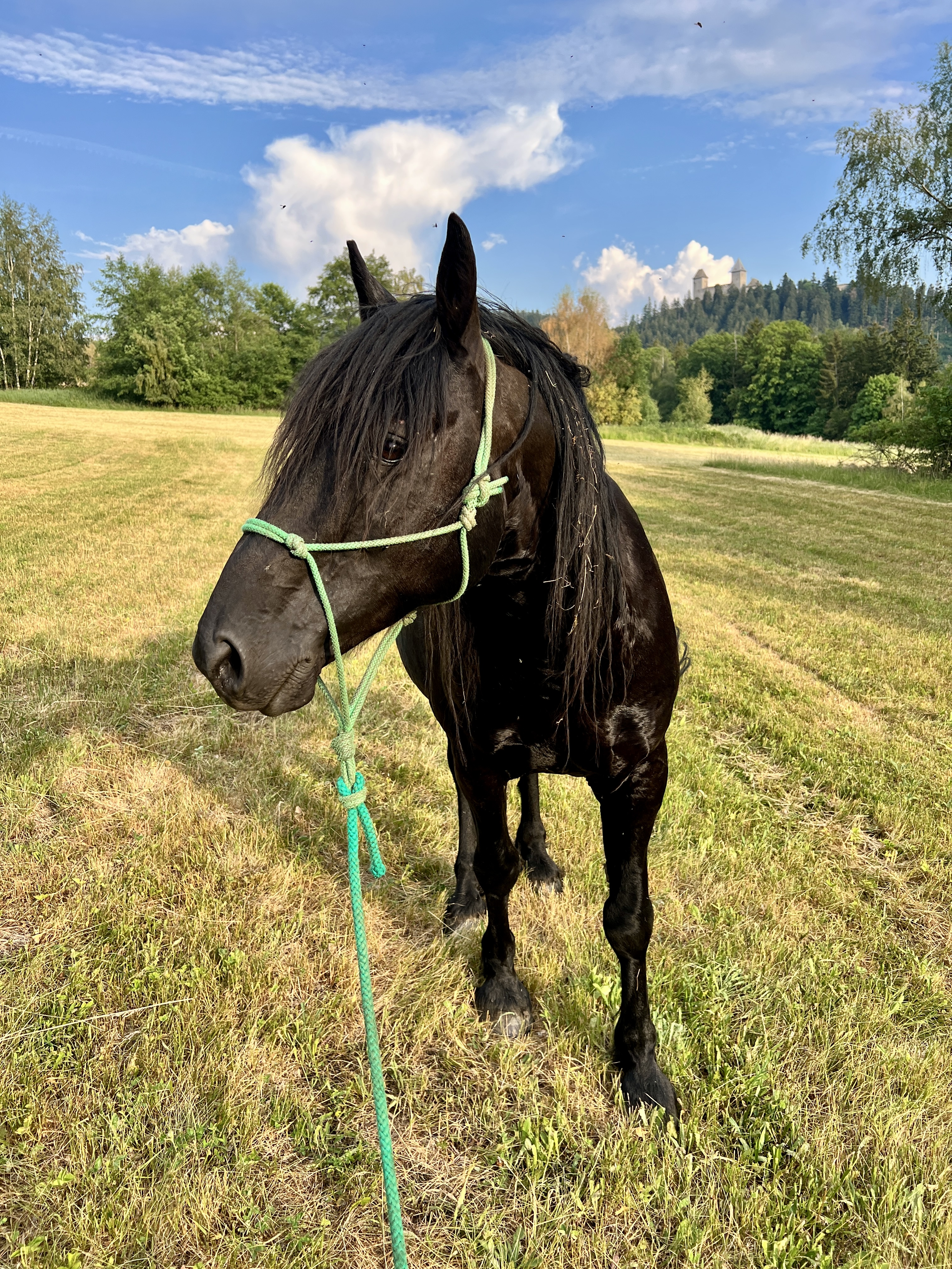 Apartmány Trnov foto 2
