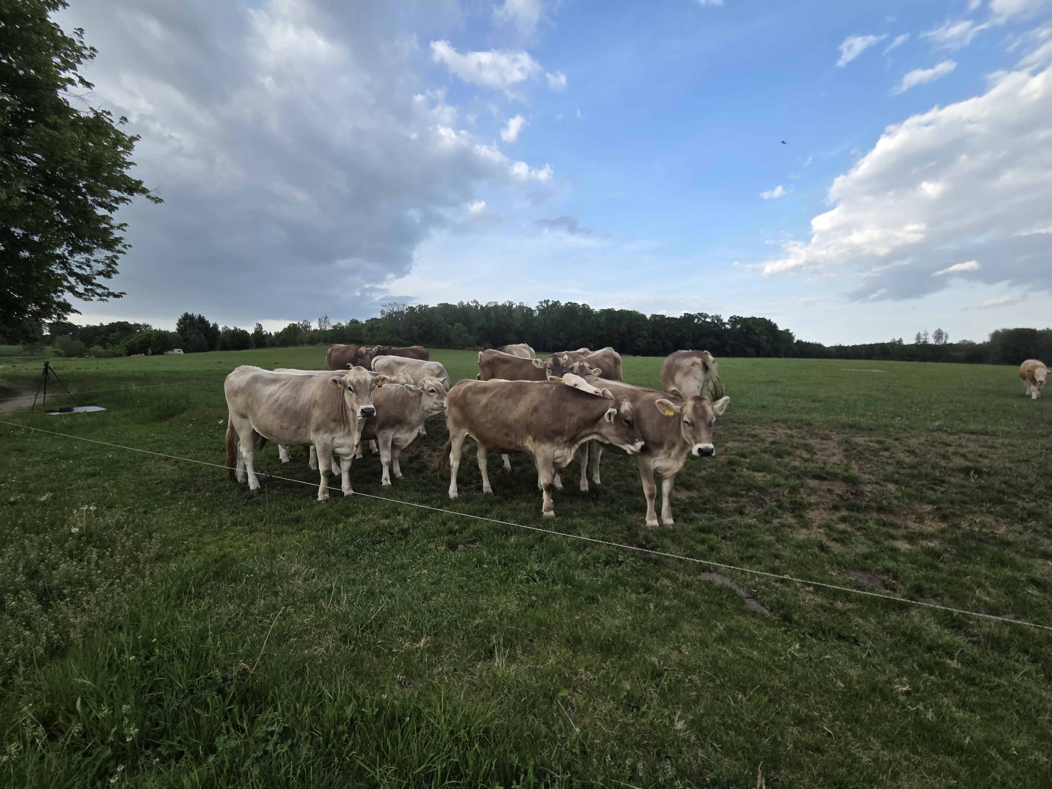 Mlékárna Vlkov foto 4