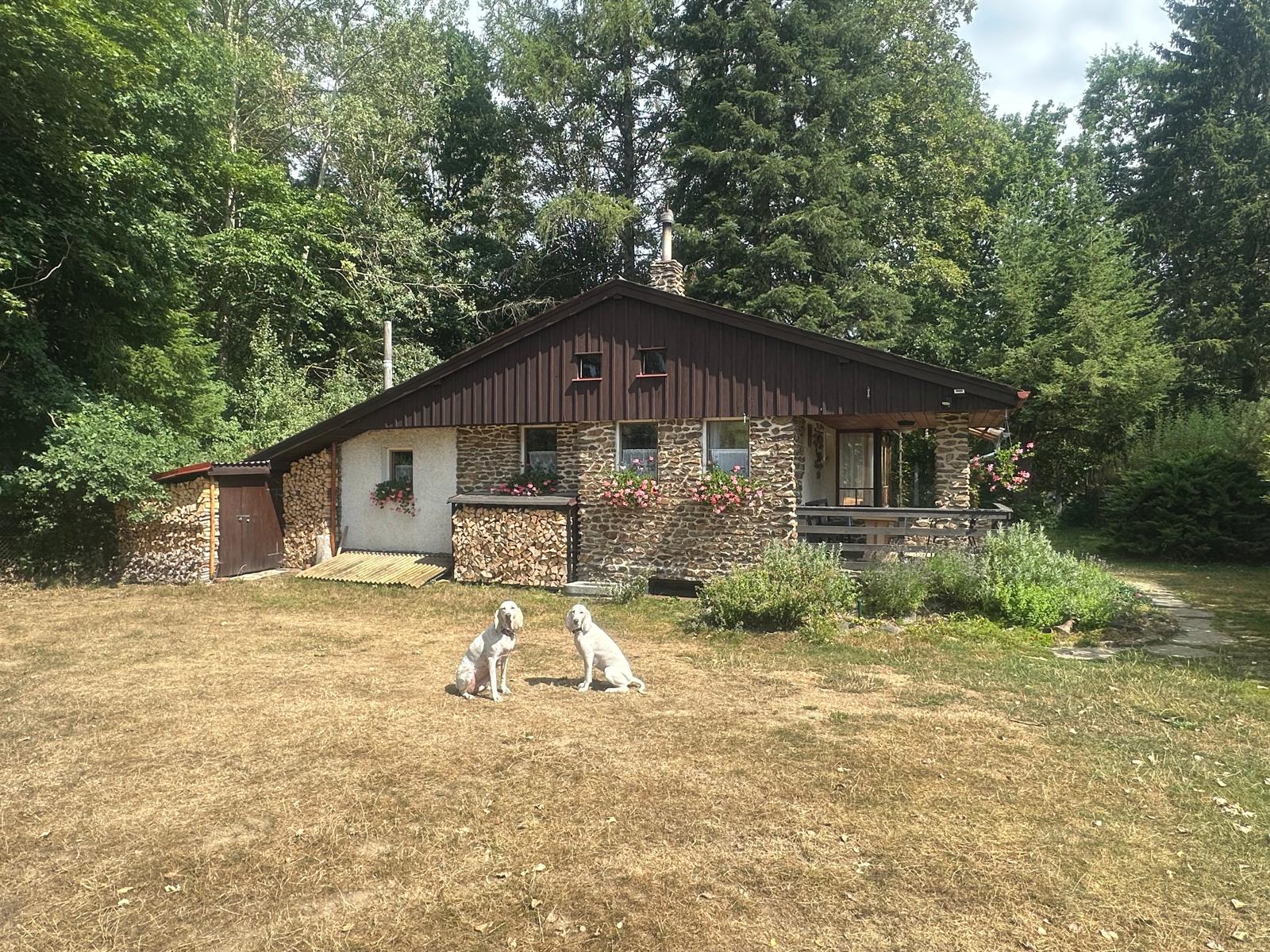 Malebná chata - Petrovice u Sušice foto 3
