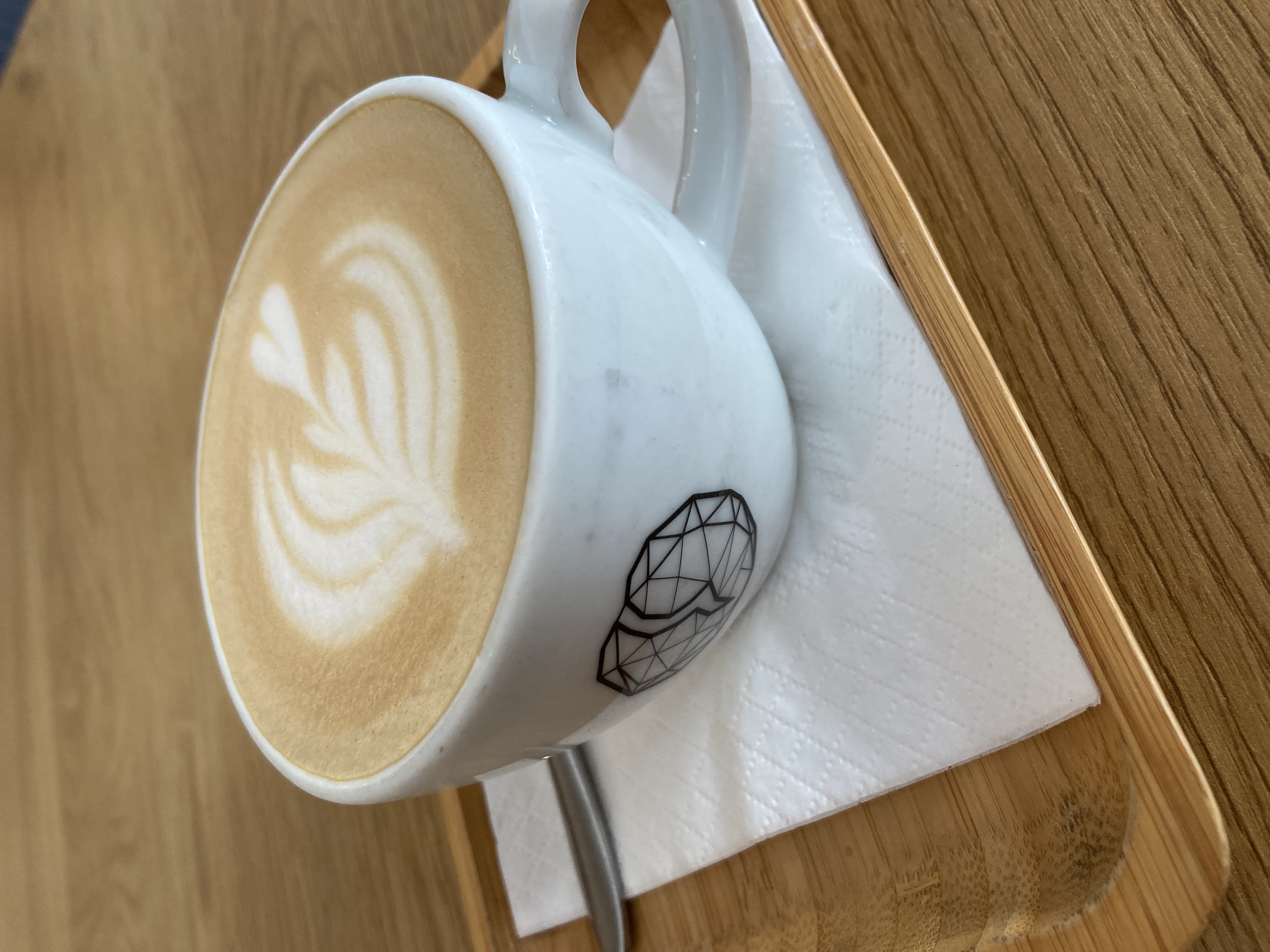 Fíkus kafe foto 5