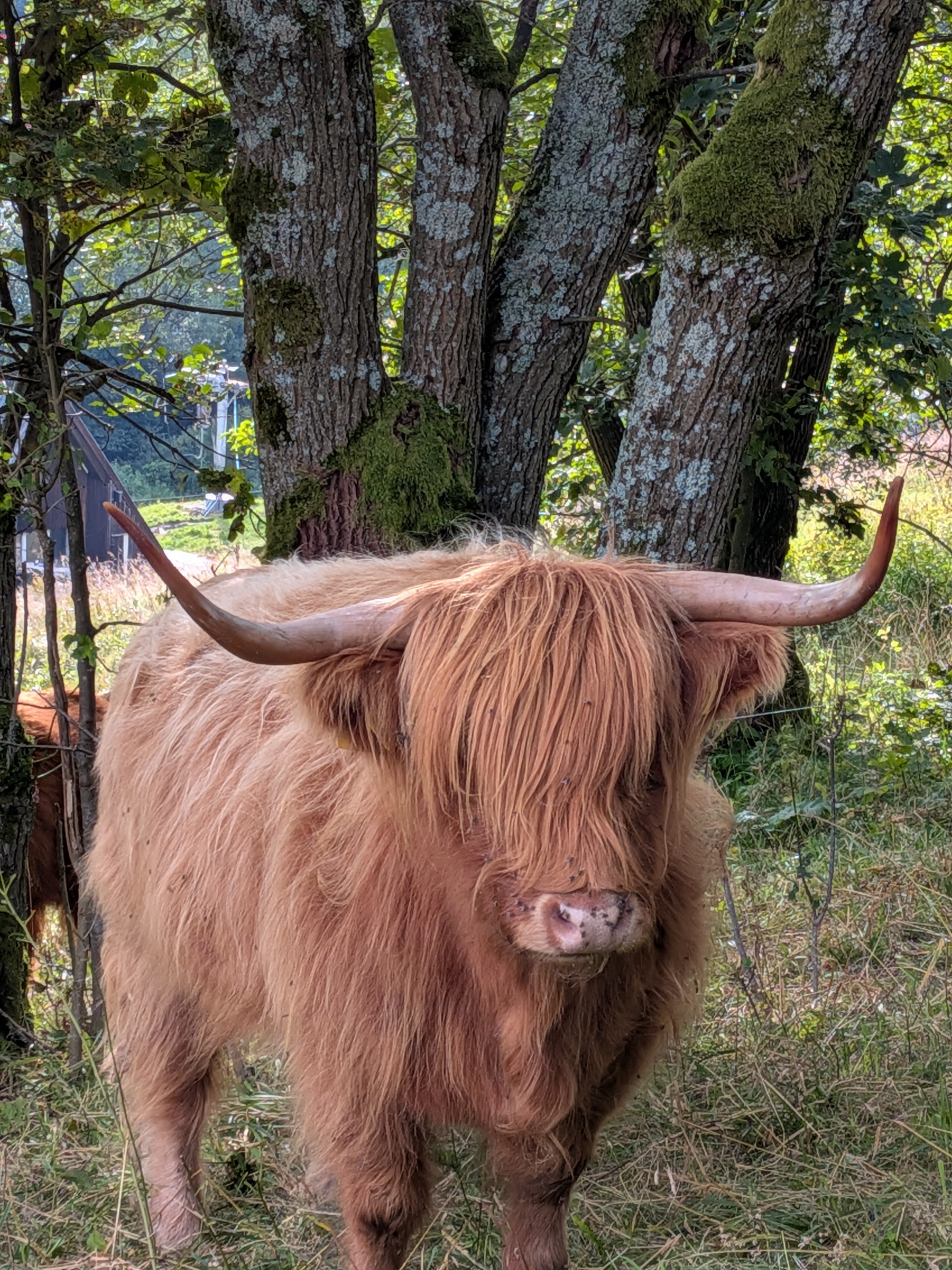 Apartmány Gryf foto 3