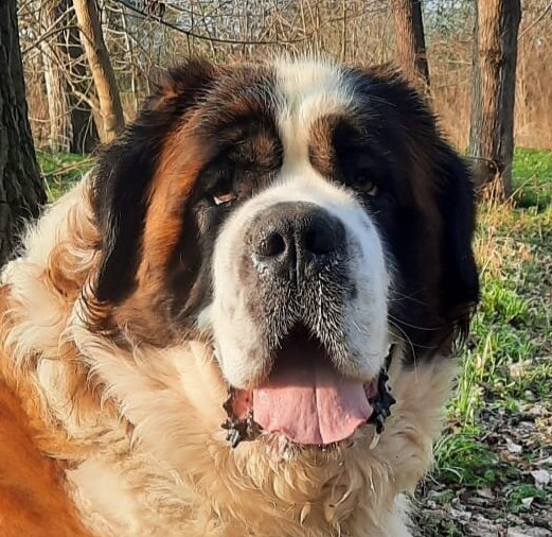 ERIKA veterinární klinika - MVDr. Pavel Hron foto 2