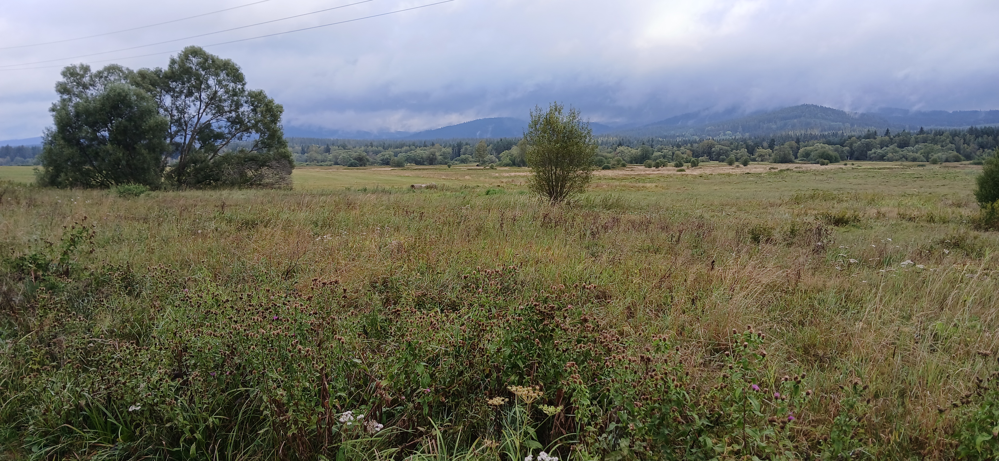 Penzion Dobrá na Šumavě foto 5