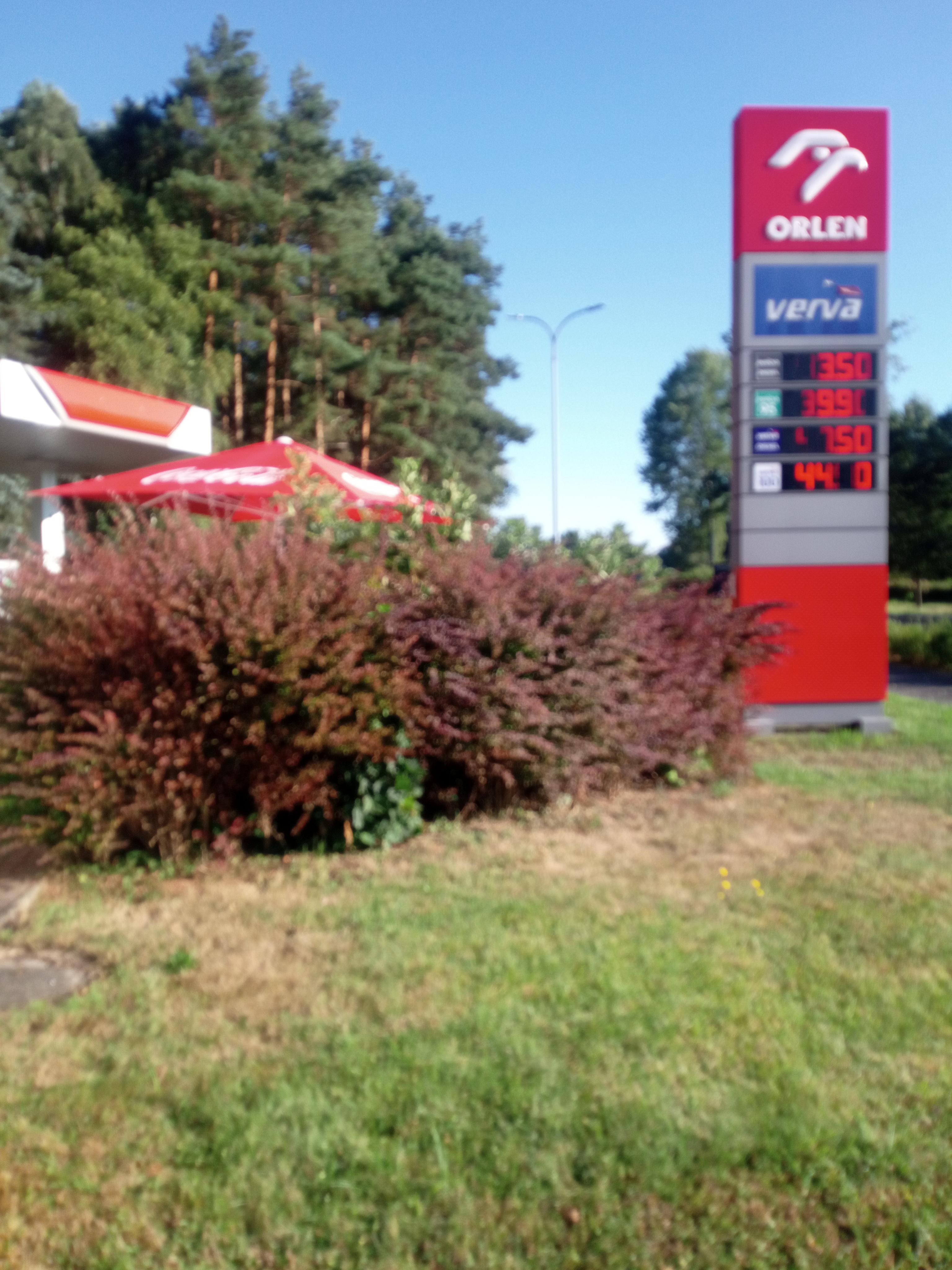 ORLEN foto 4