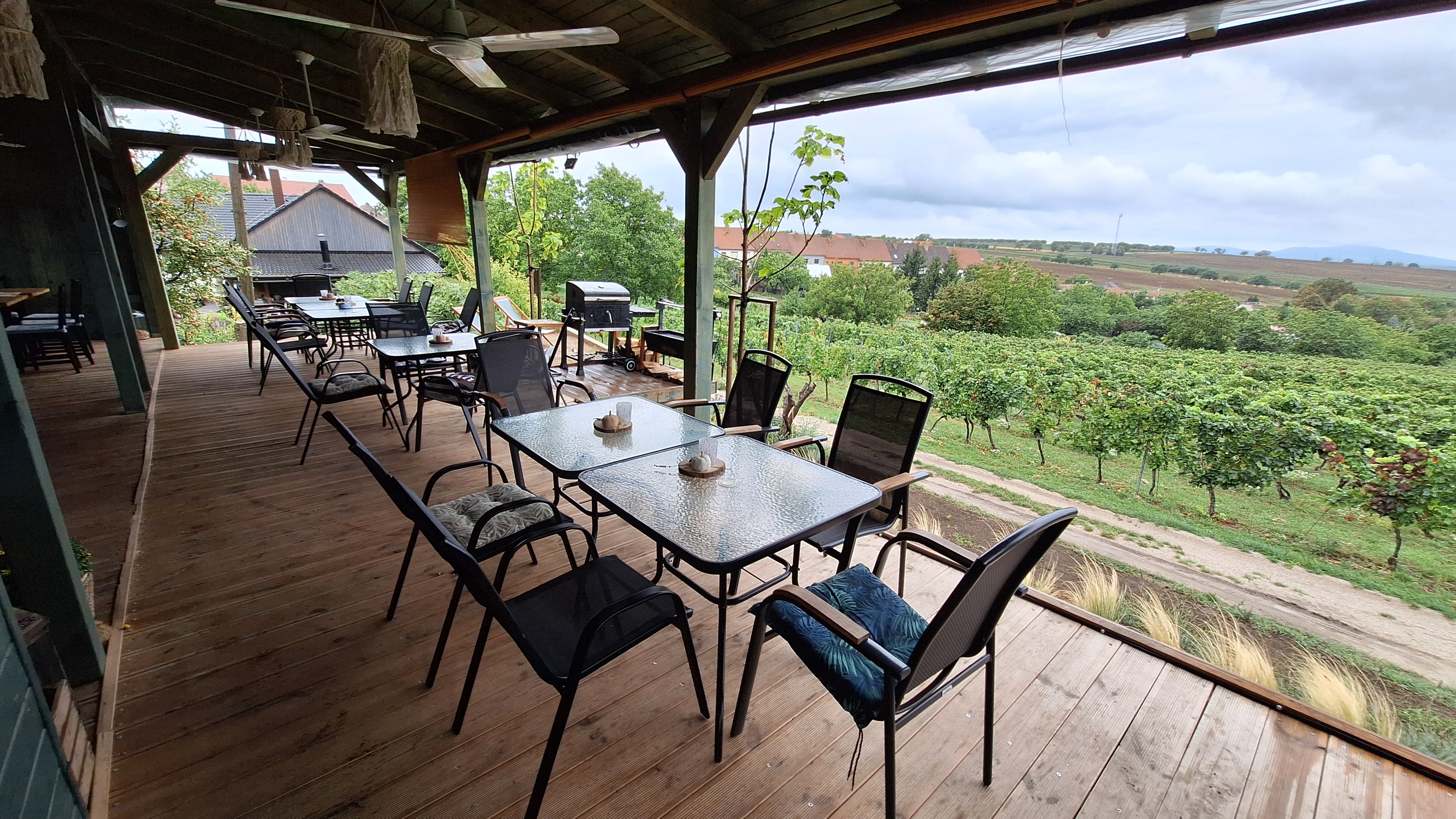 Bistro a Karavanpark meruňky a vinohrady Vrbice foto 3