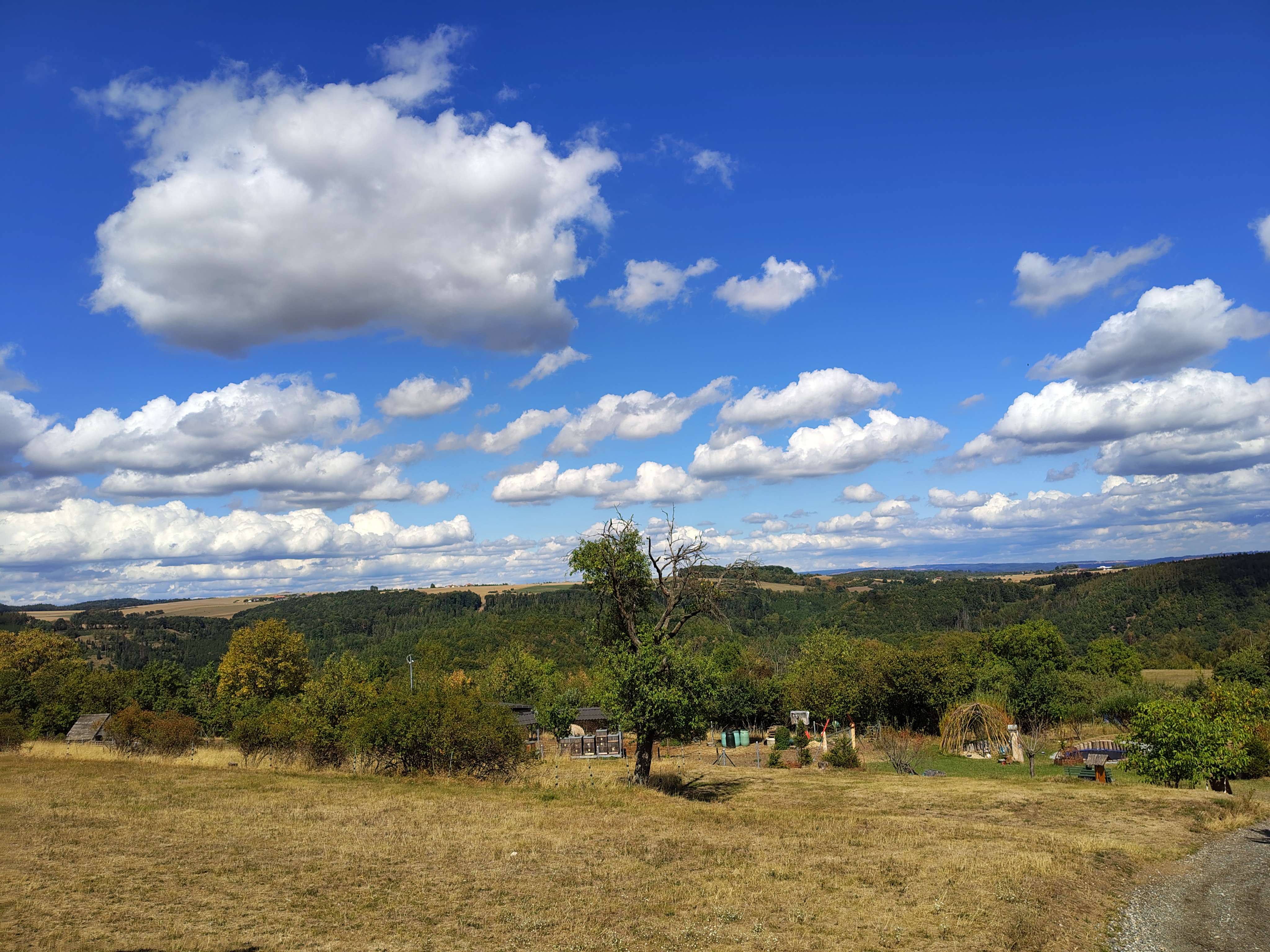 Samoobslužný bar Javůrek foto 3