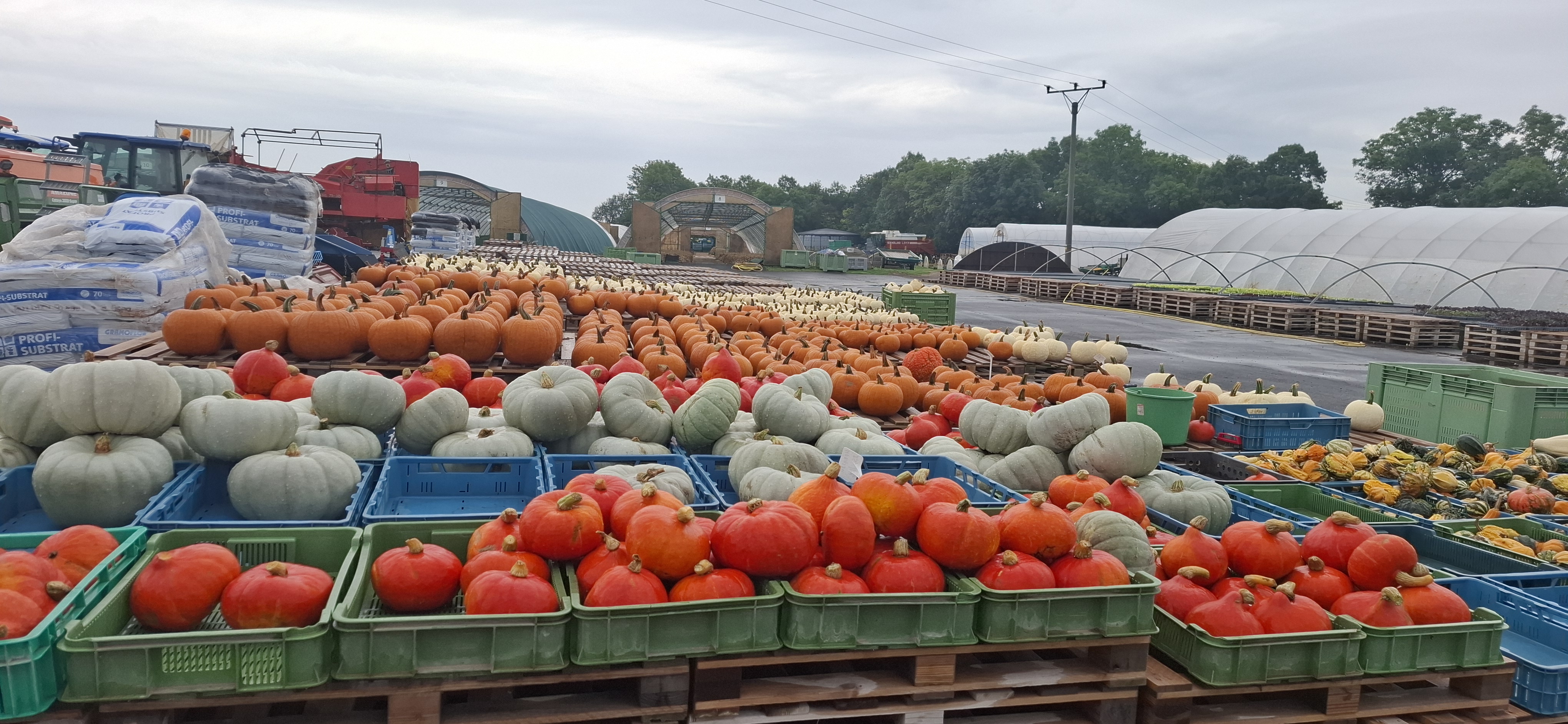 Rodinná farma Šlapanice foto 2