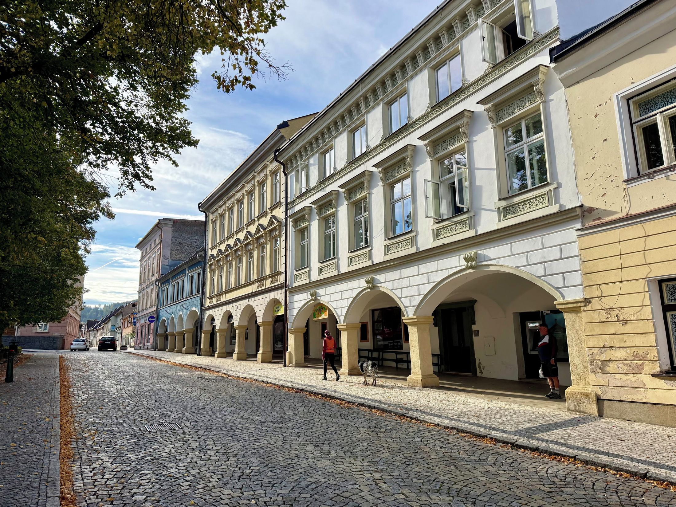 Králíky
