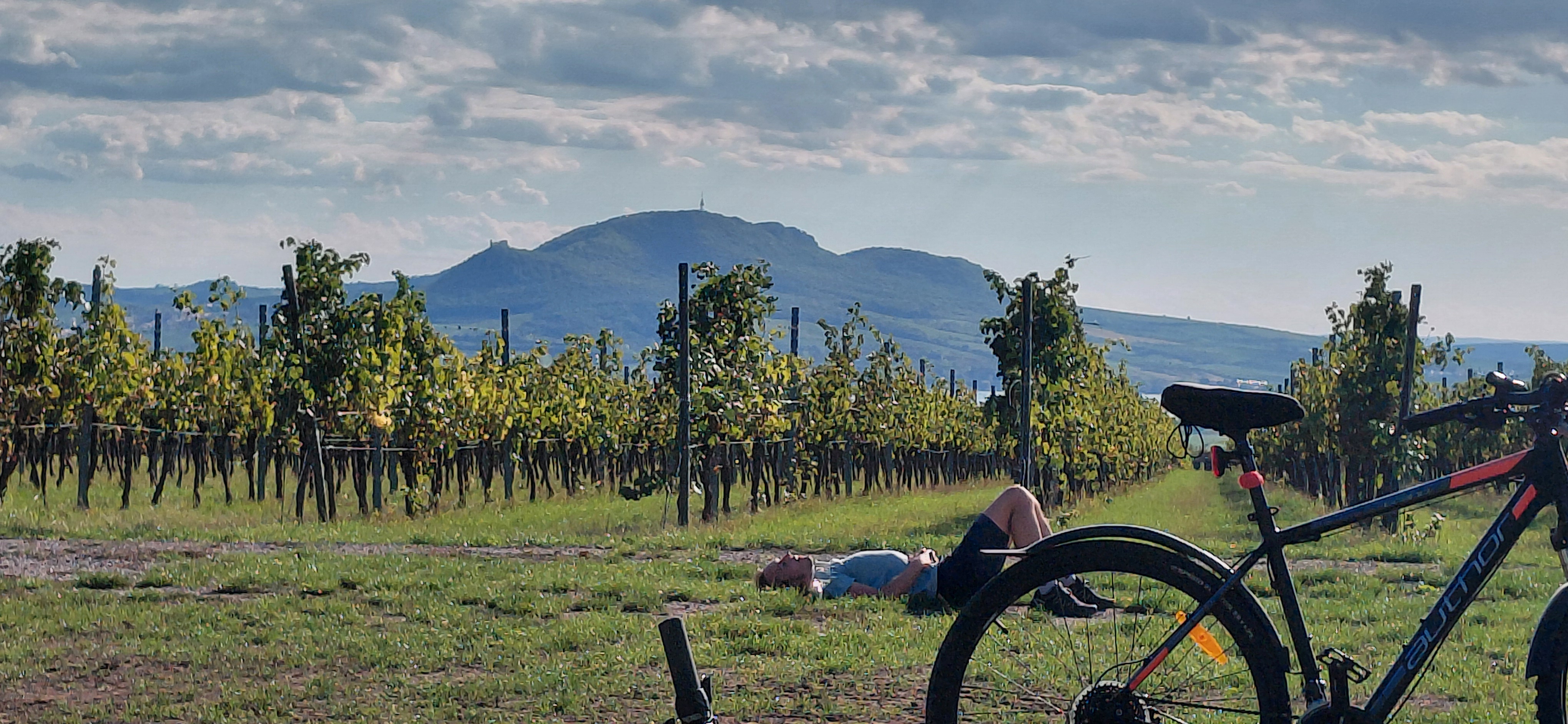 Občerstvení Vinařství Vrátil foto 1