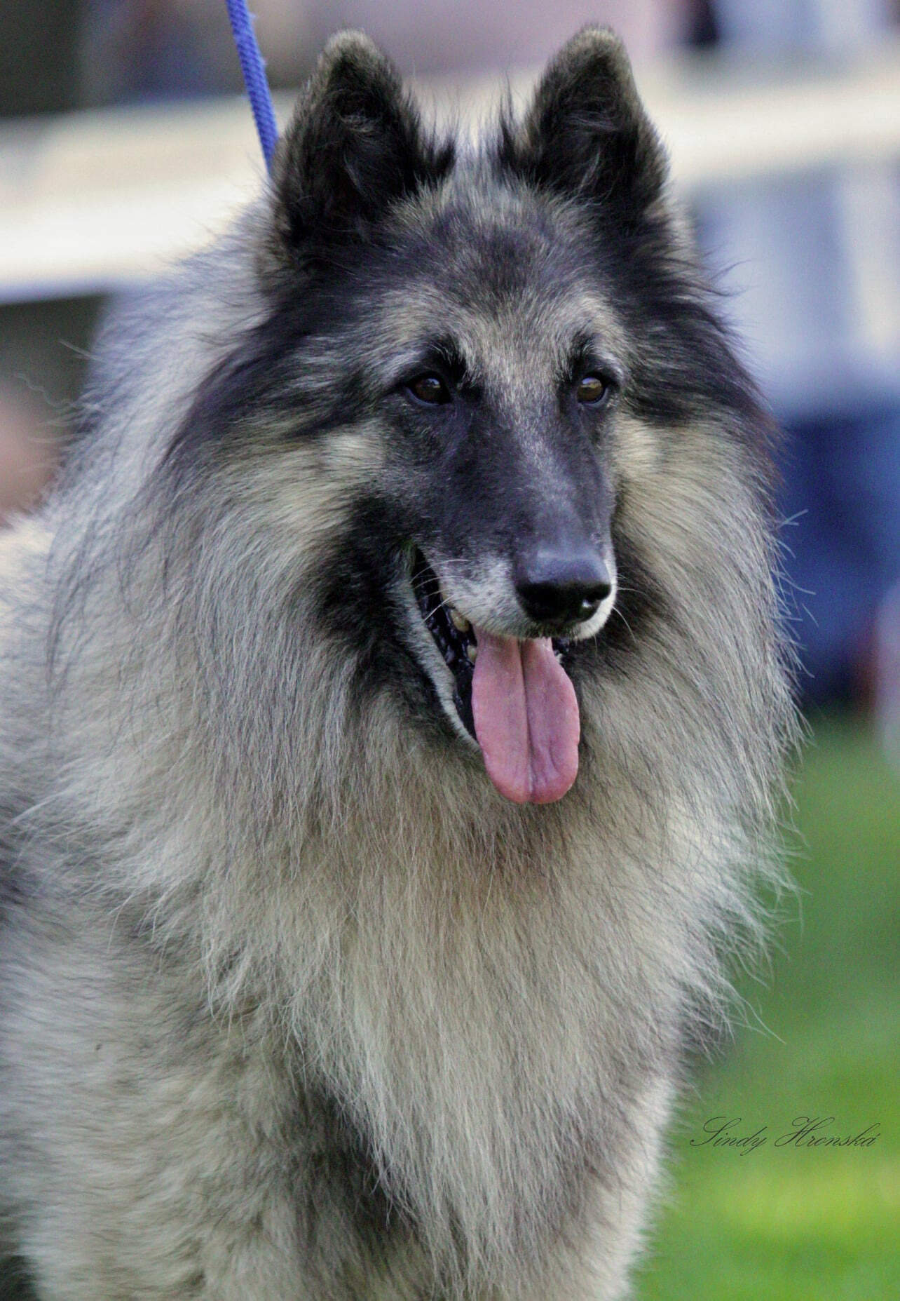 Veterinární centrum ATEvet foto 4