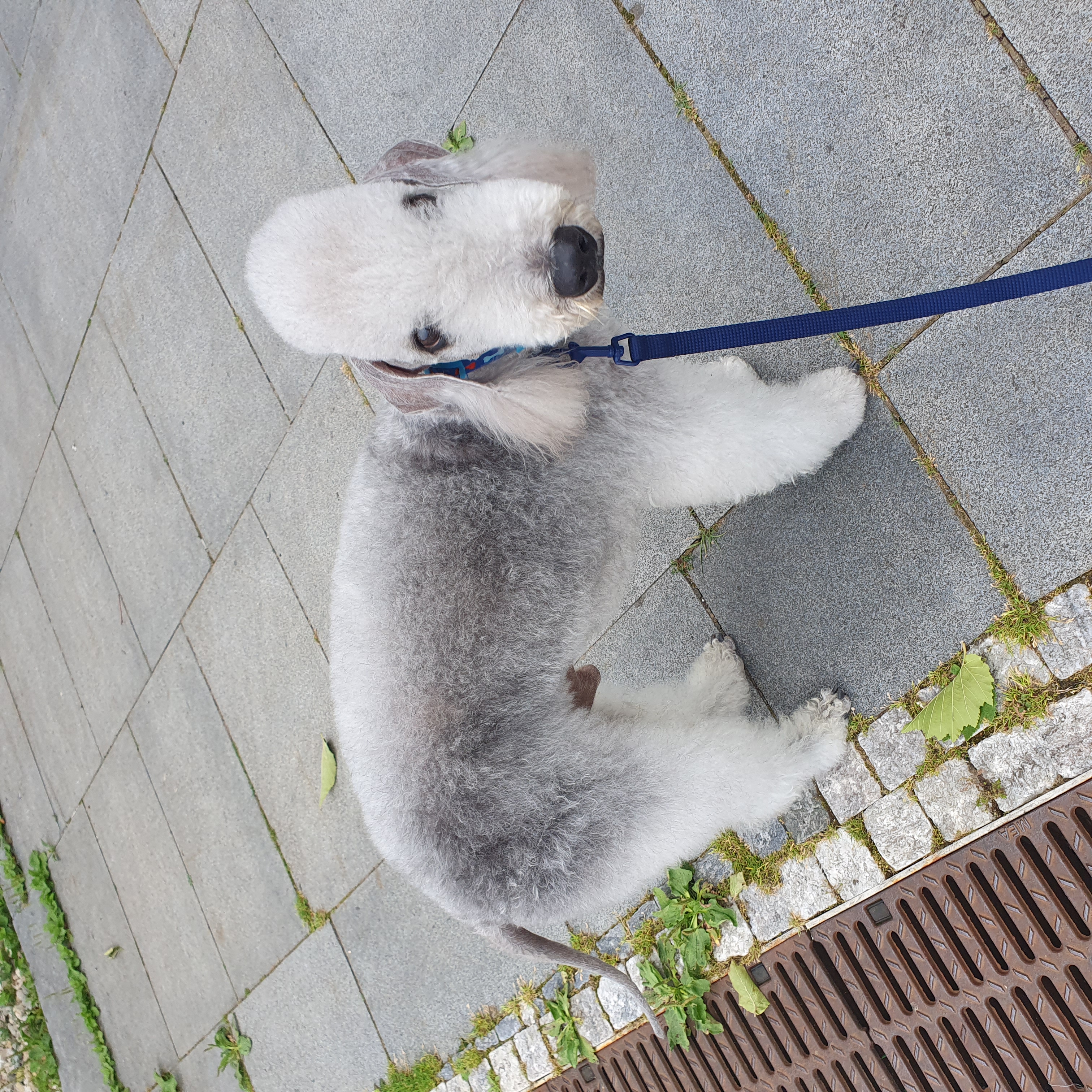 Labvet.cz - veterinární laboratoř a ordinace foto 6