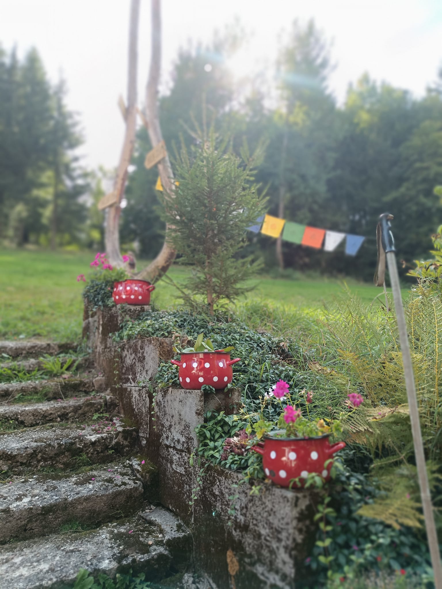 Horská chata Sněžná - bistro foto 2
