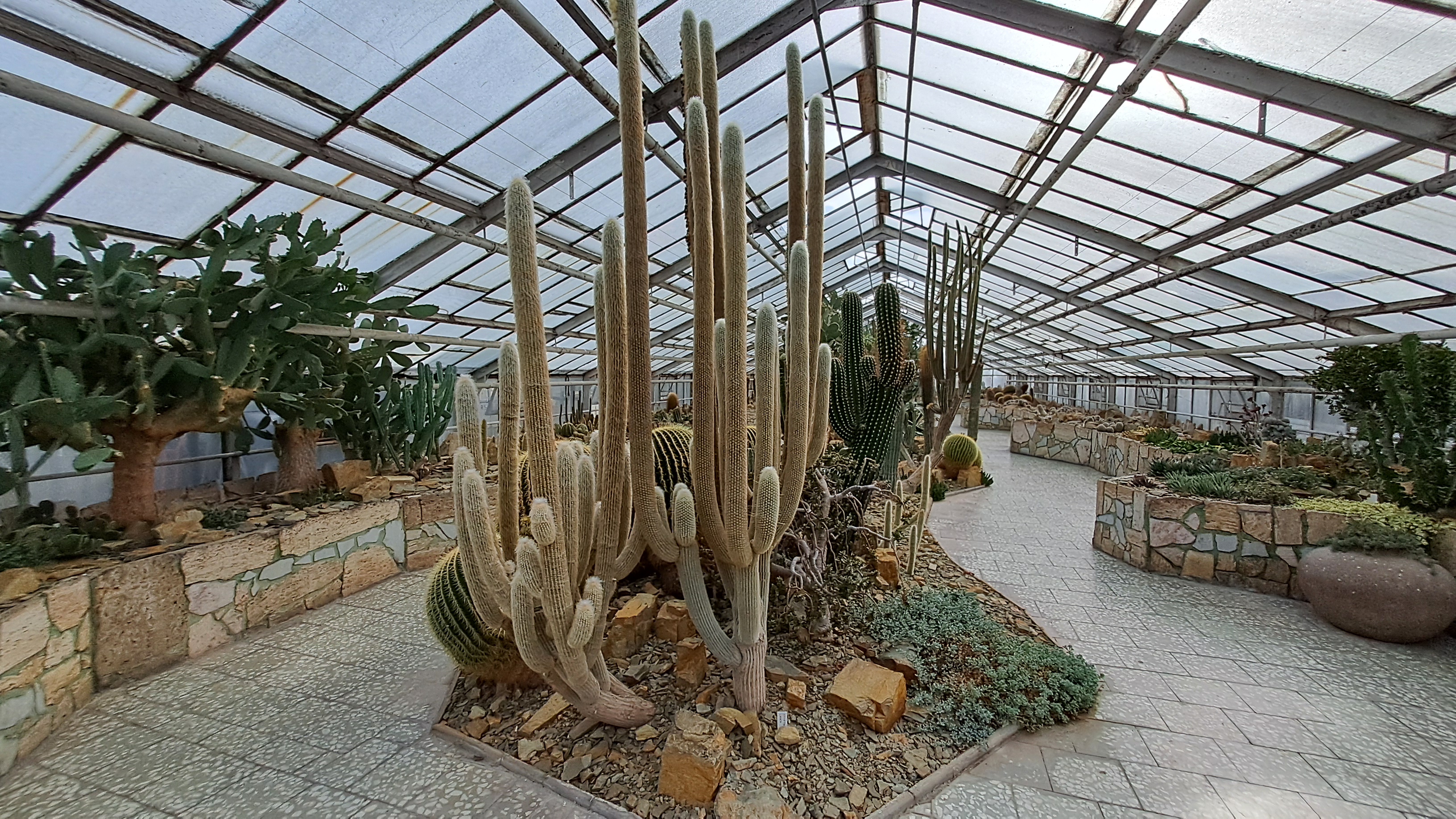 Sbírkové skleníky Výstaviště Flora Olomouc foto 1