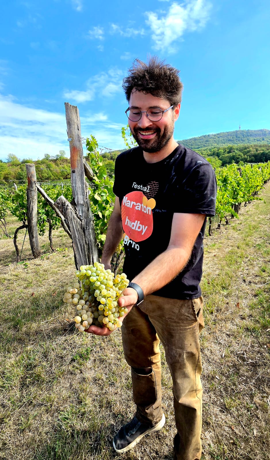 Vinařství Marvin foto 4
