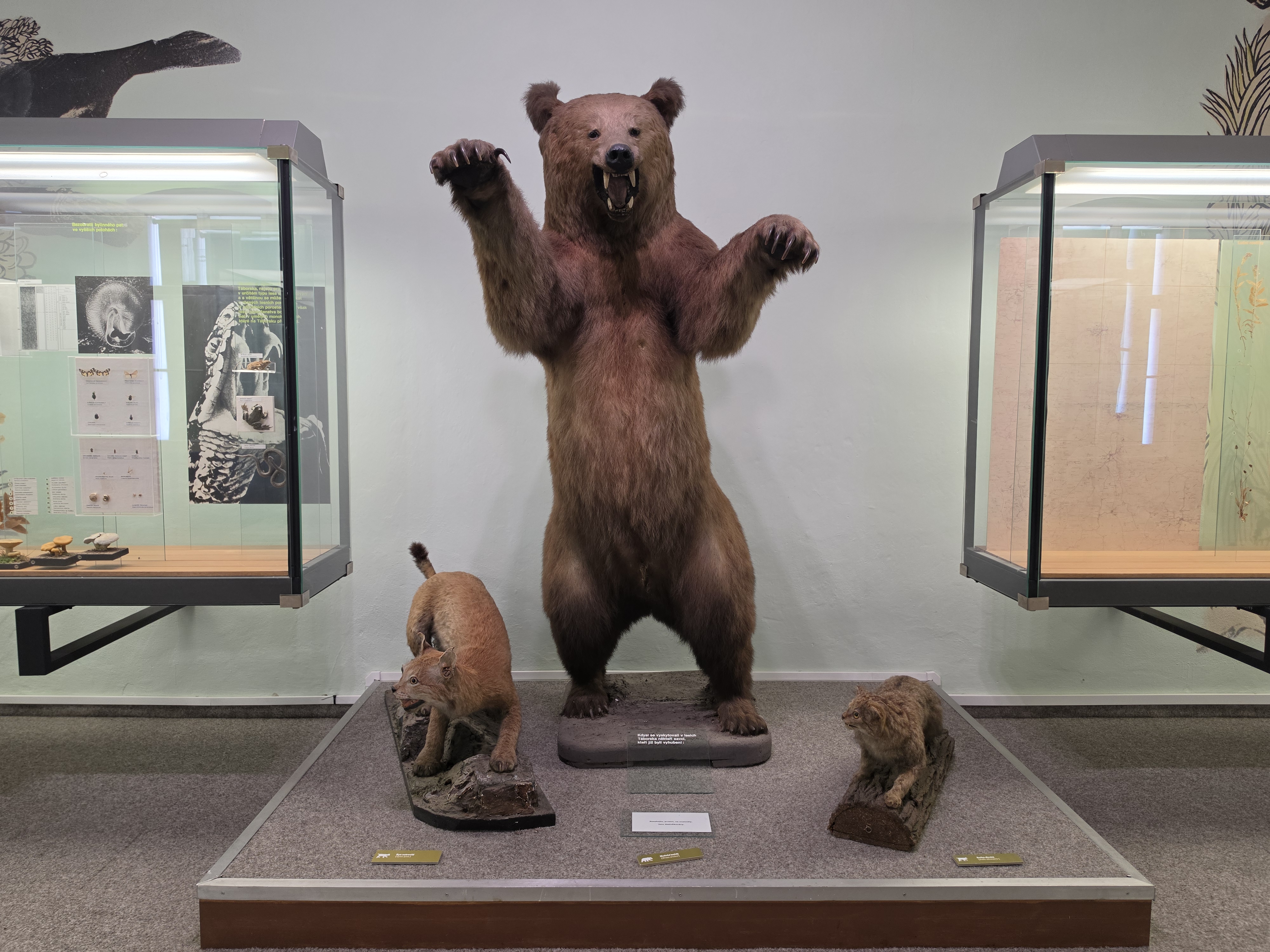 Blatské muzeum Rožmberský dům foto 5