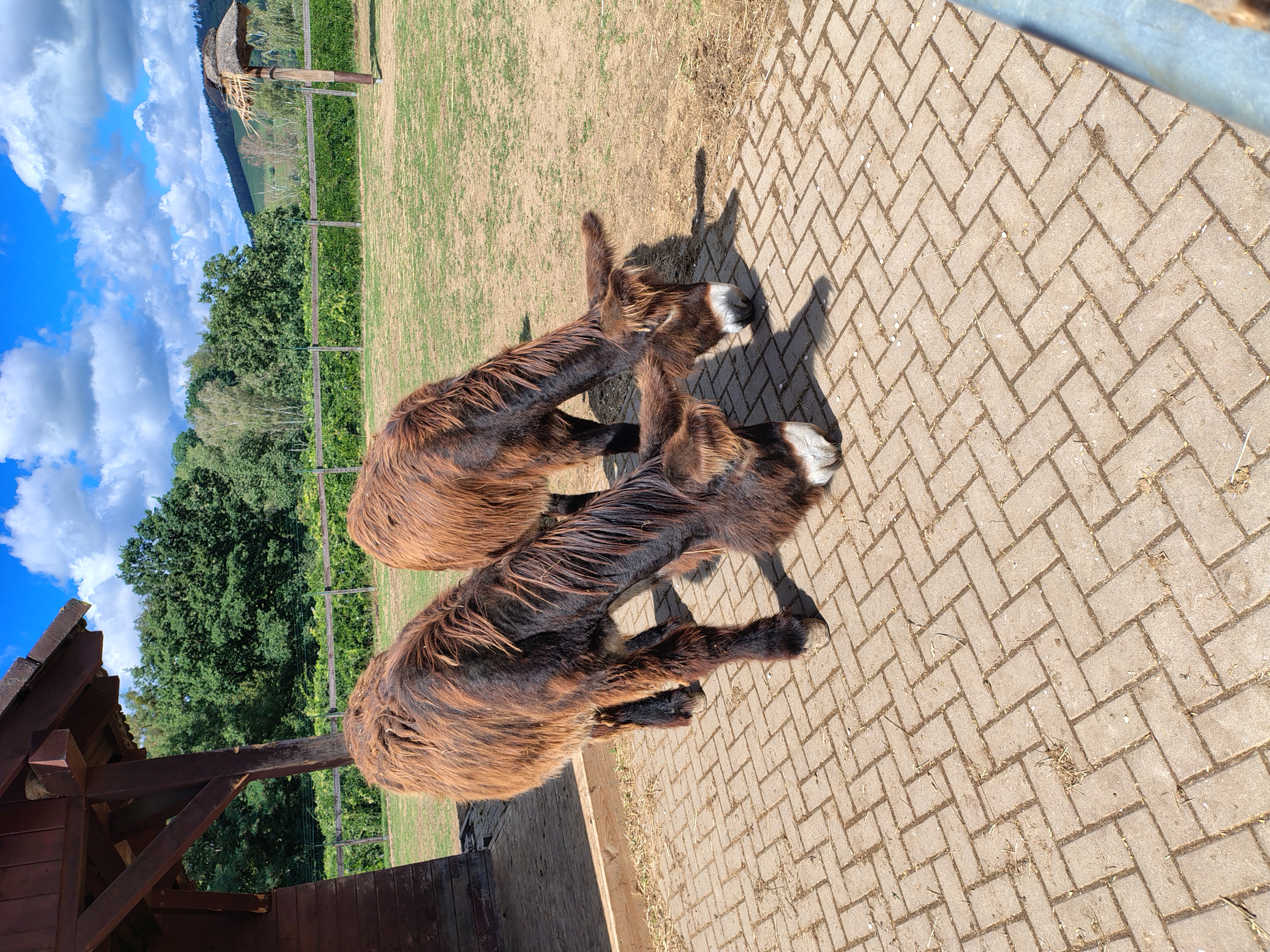 FARMAPARK foto 2