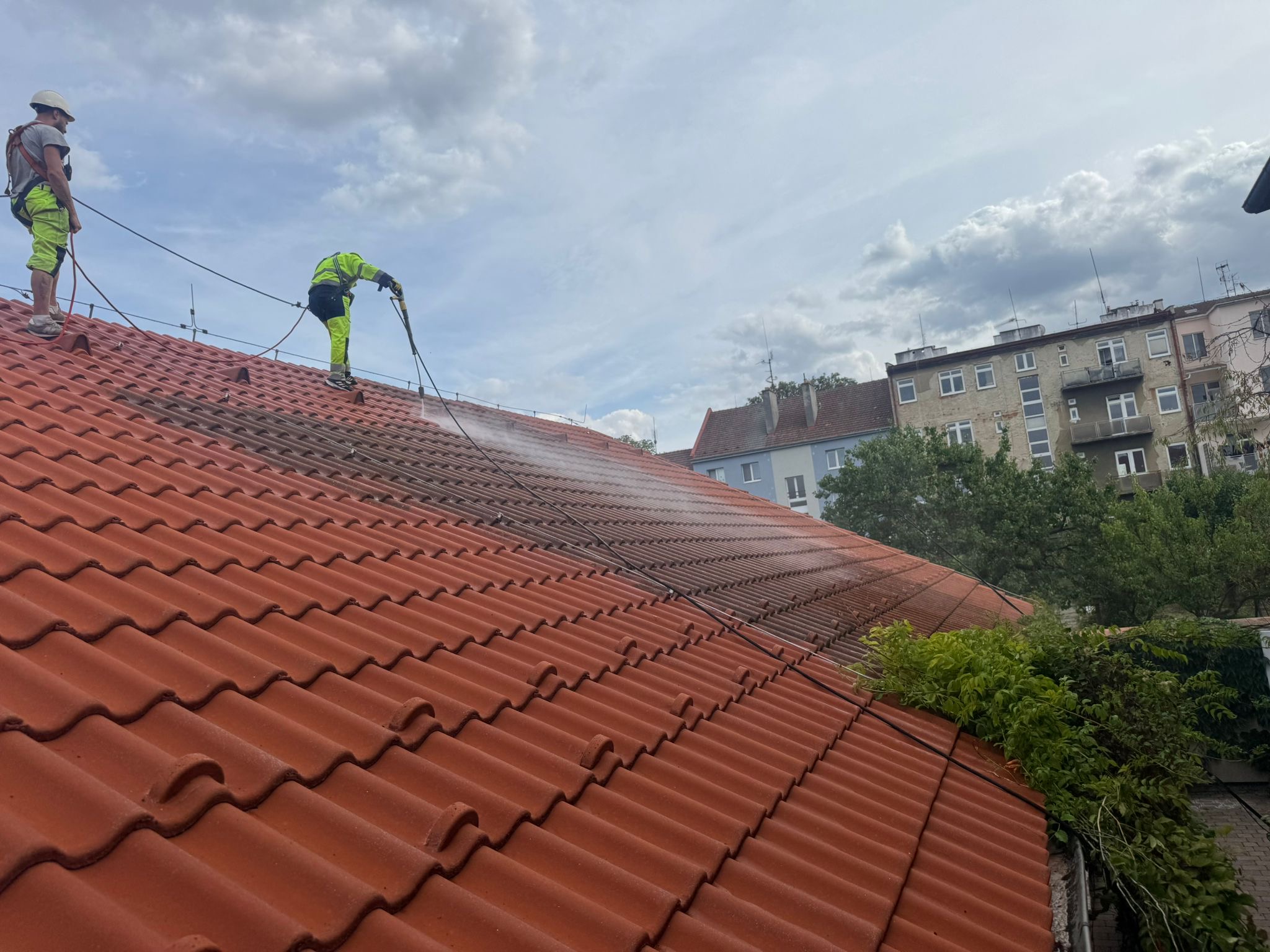 Proficiste.cz foto 3