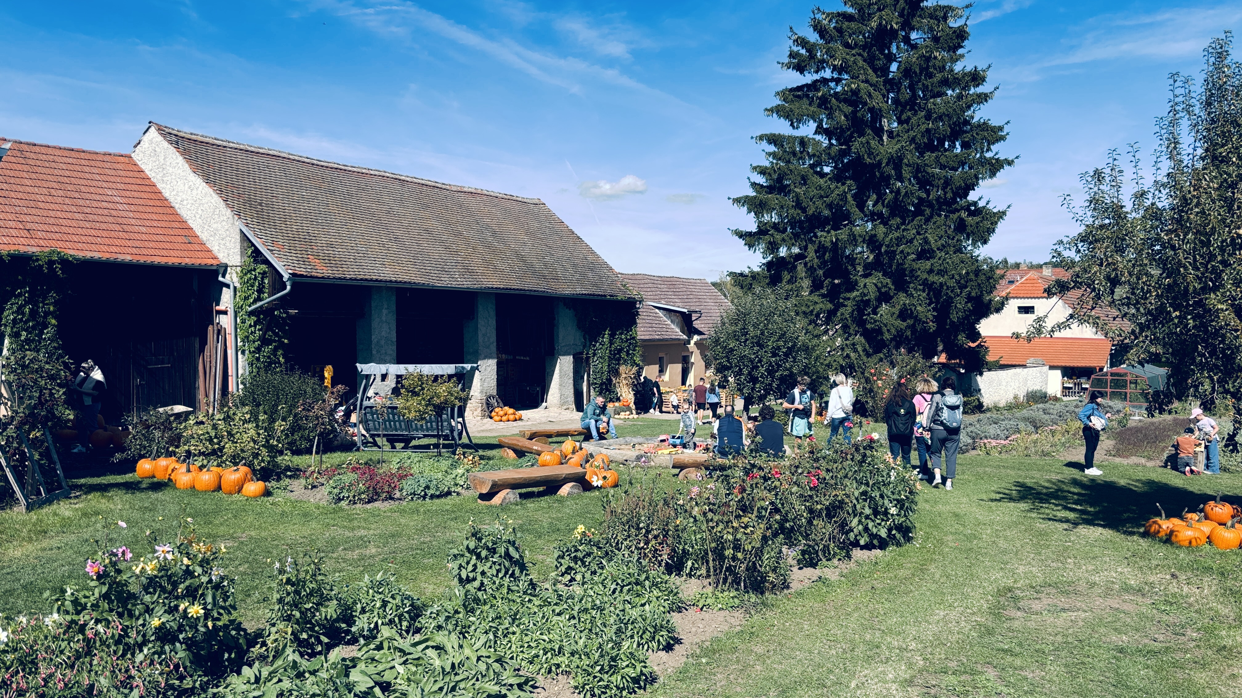 Dýňová farma Bykoš - Jan Brotánek foto 2