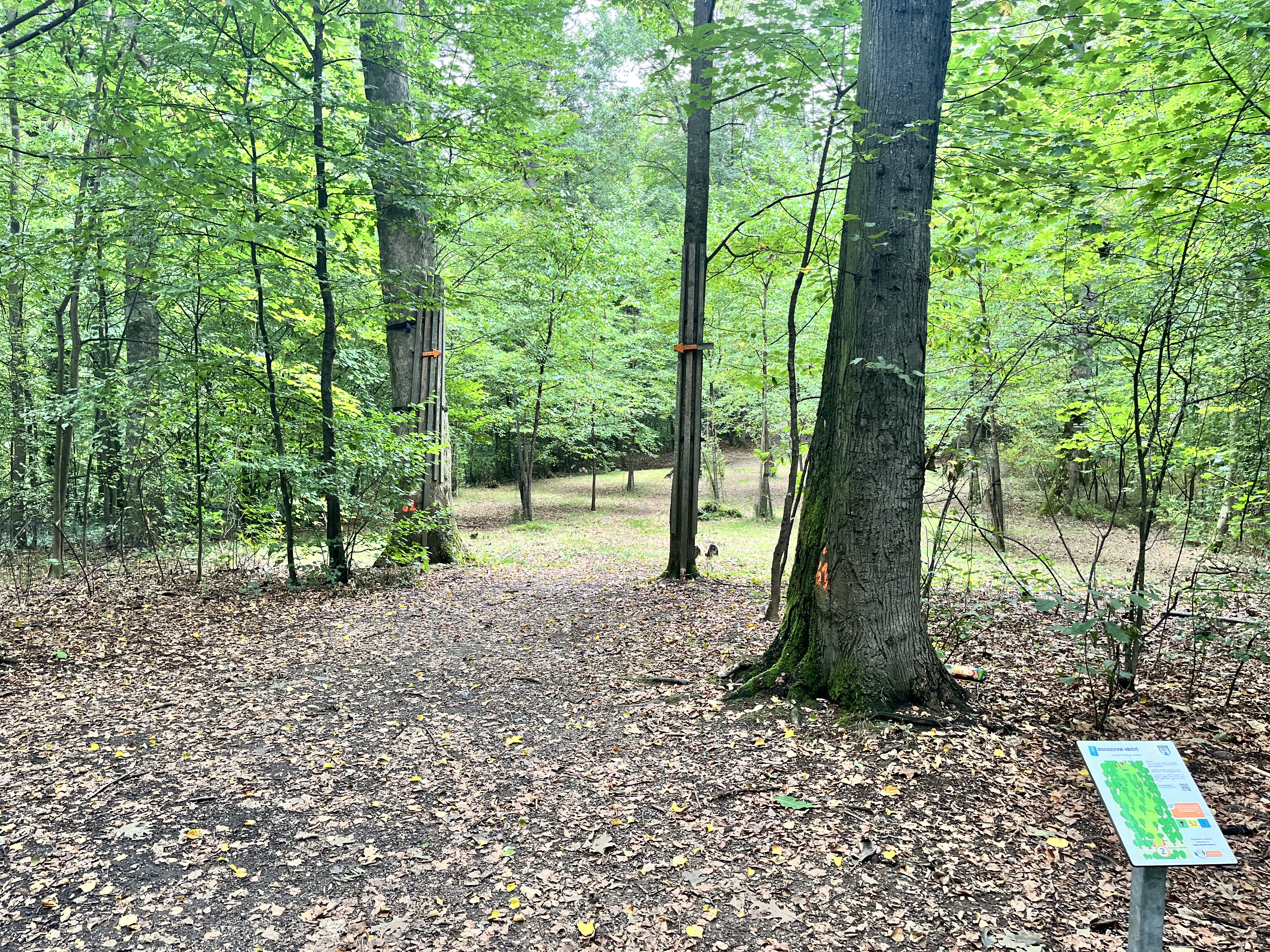 Discgolfové hřiště Frýdlant foto 6