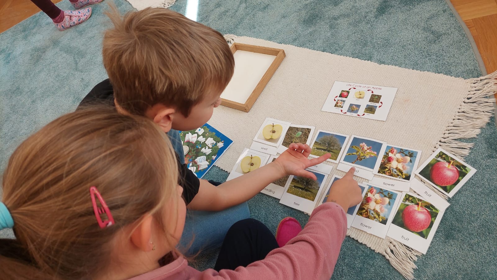 Carlsbad Montessori School foto 2