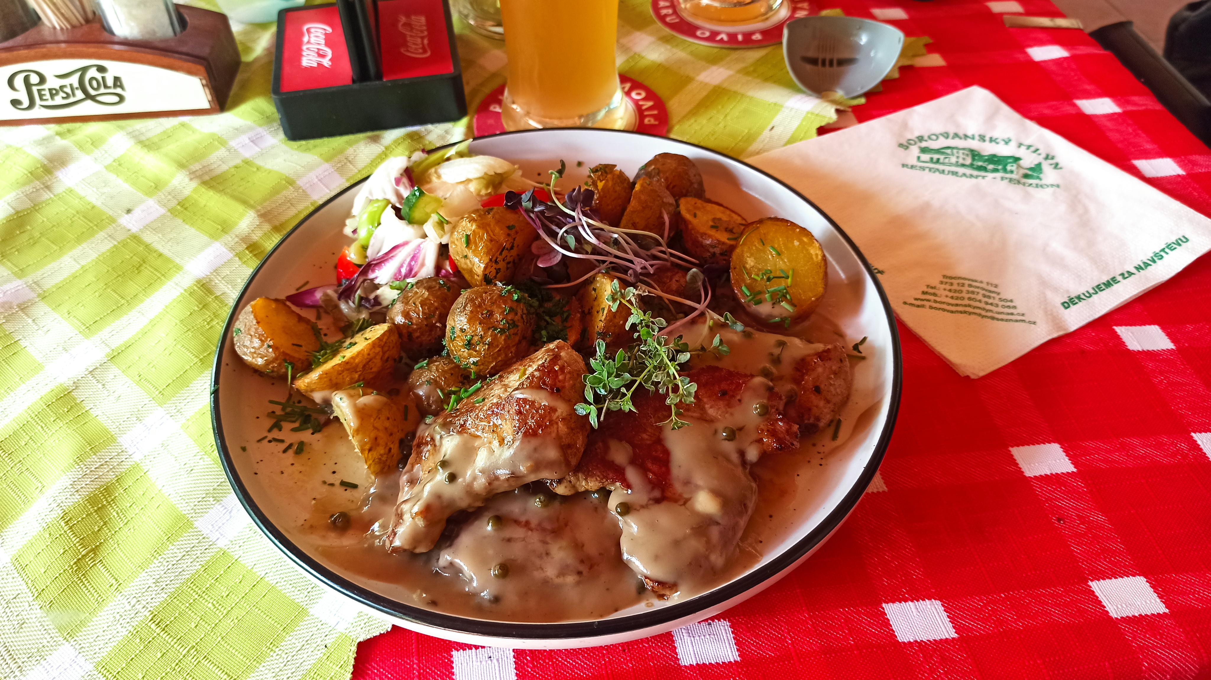 Restaurace Borovanský mlýn foto 6