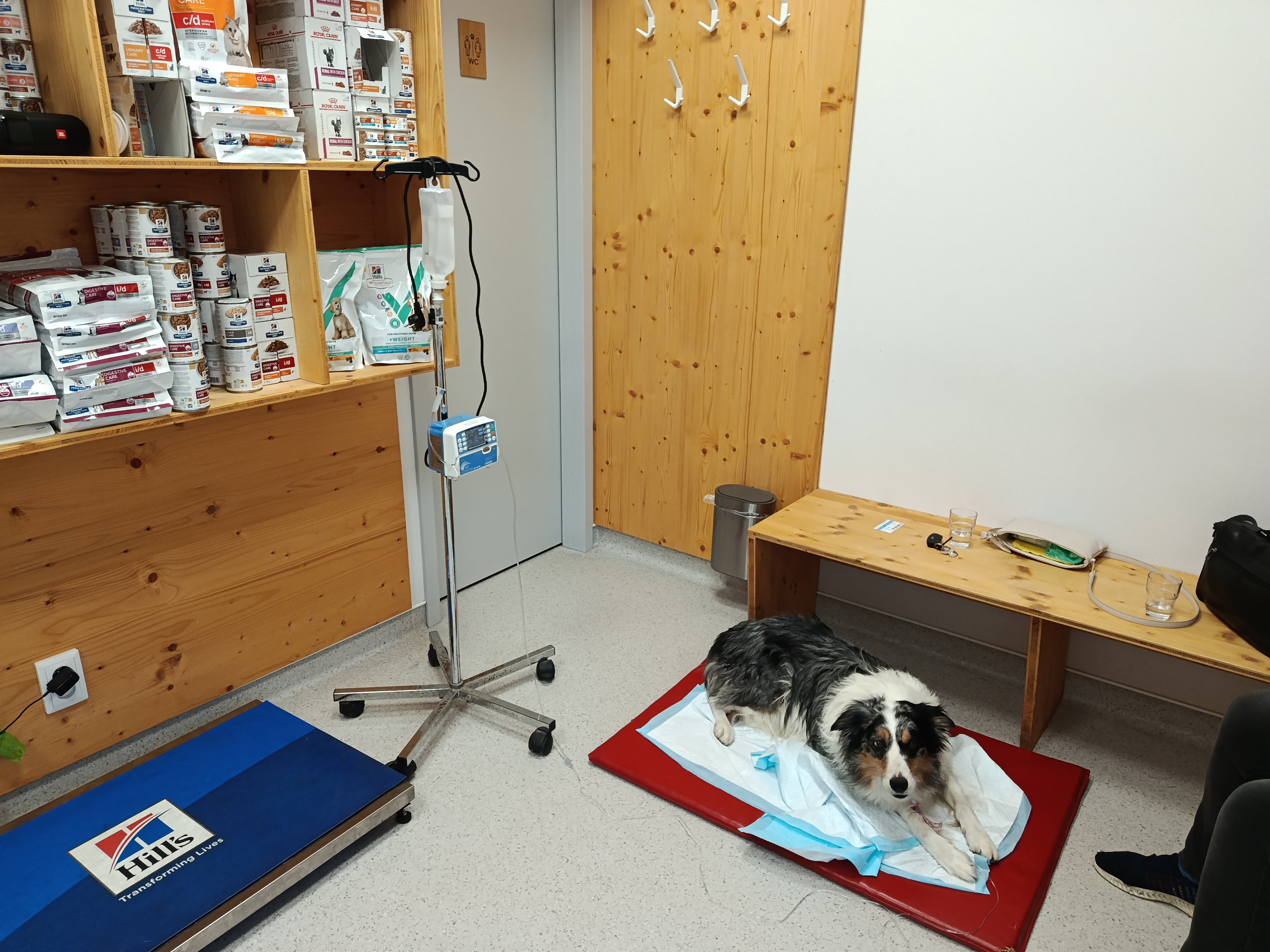 Karakal Veterinární klinika foto 1