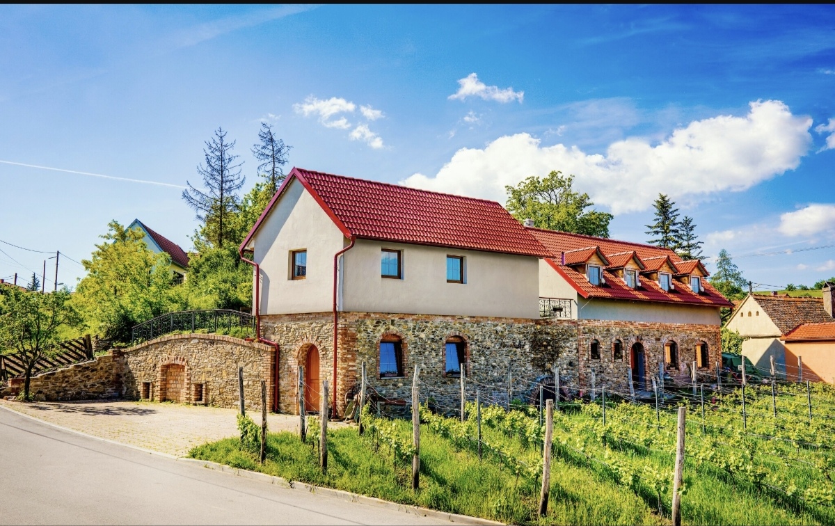 Vinařství a penzion Lintner foto 2