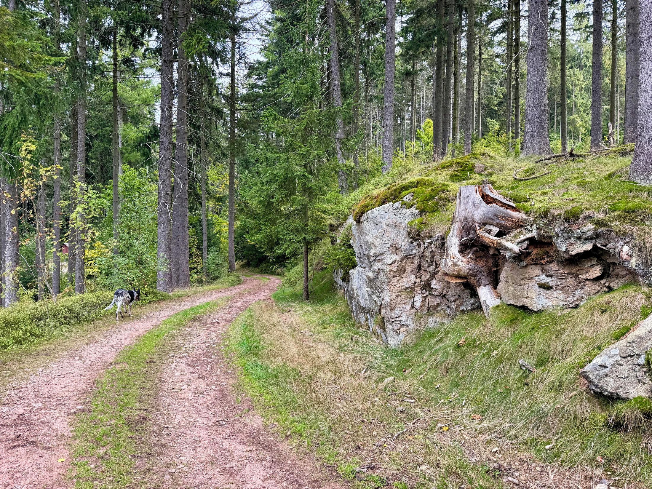 Kuata Góry Orlickie