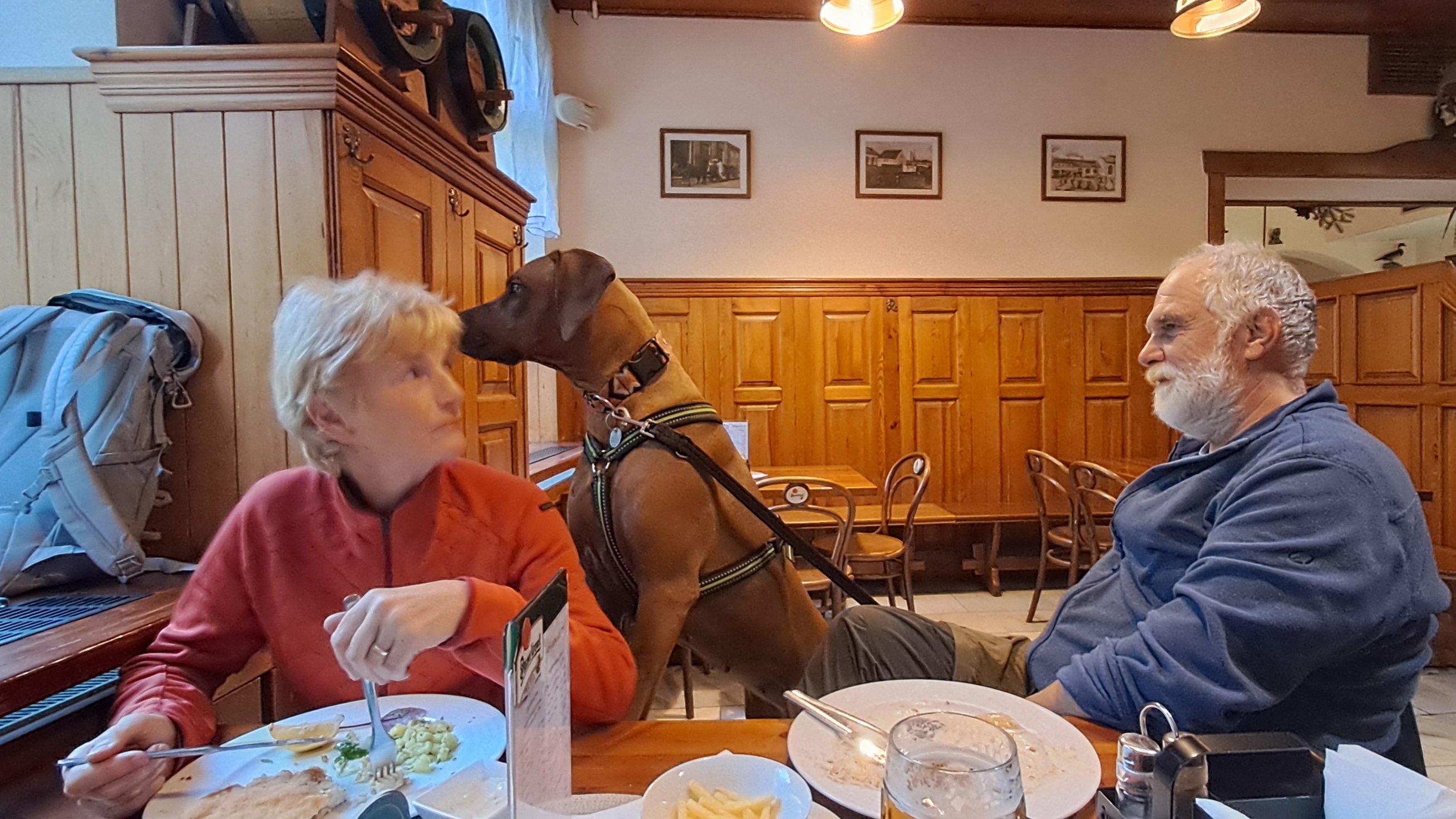 Restaurace U Reinerů foto 4
