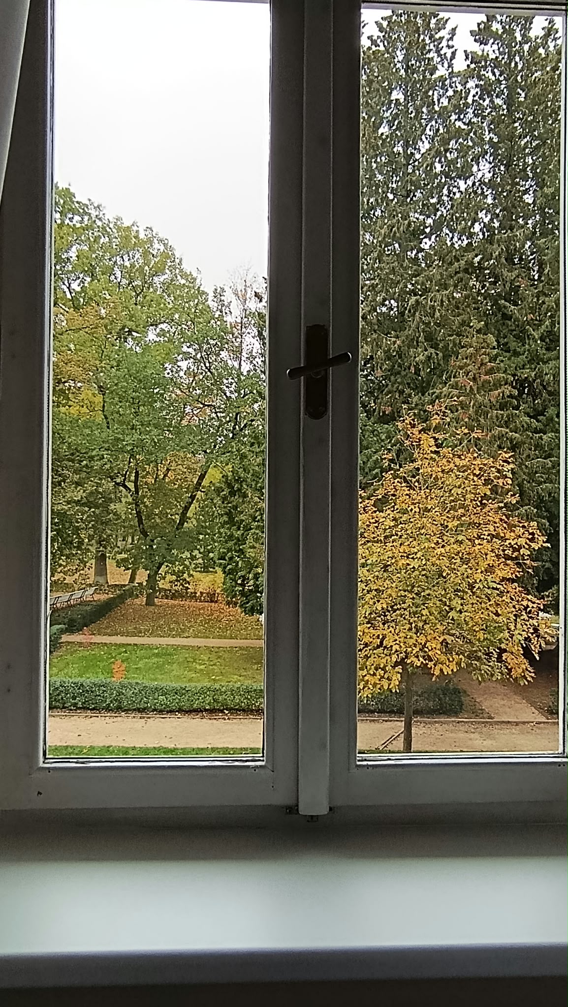 Lázeňský hotel Dr. Adler *** foto 6