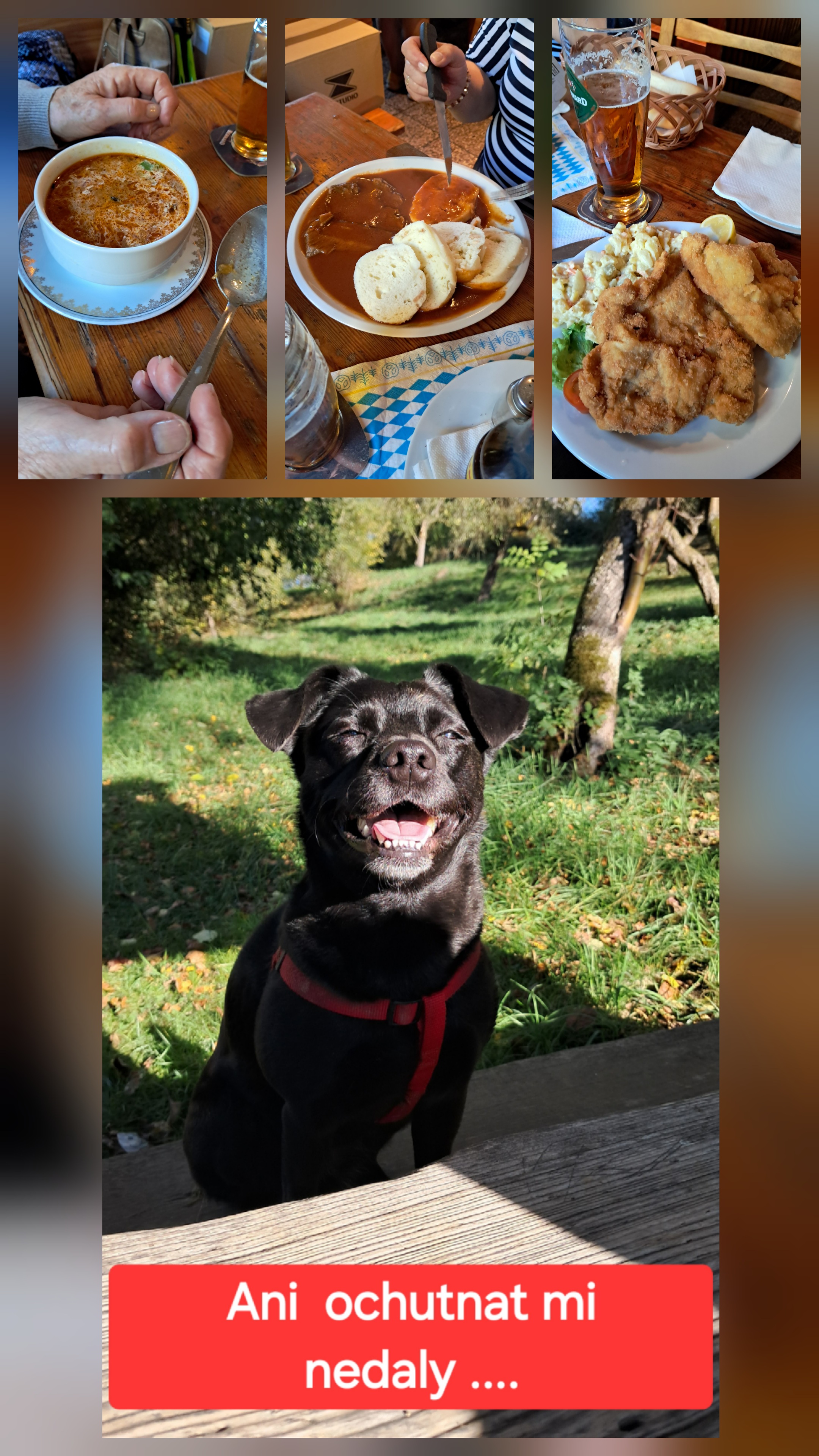 Restaurace U Zdeňky foto 4
