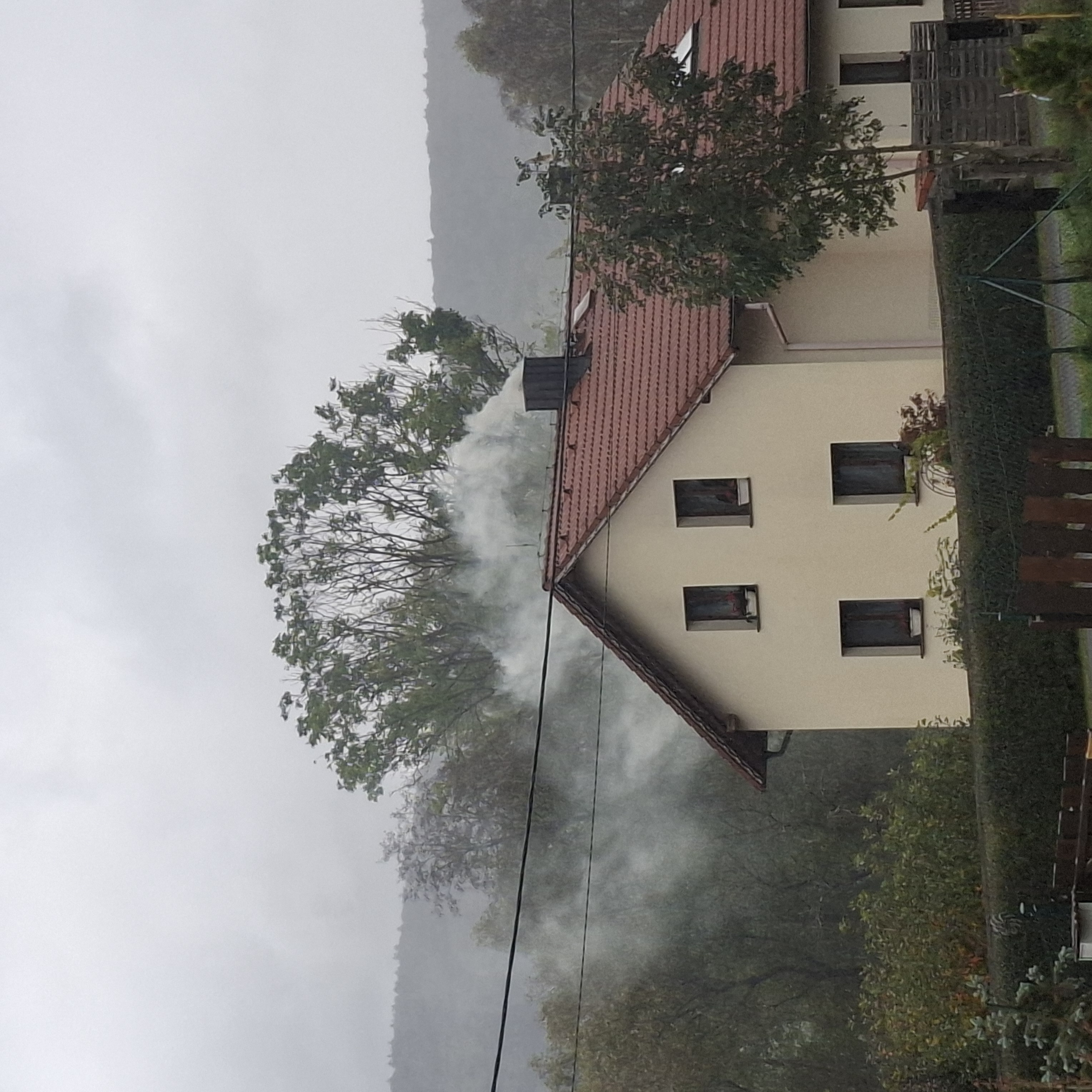 Palivové dřevo Feil foto 3