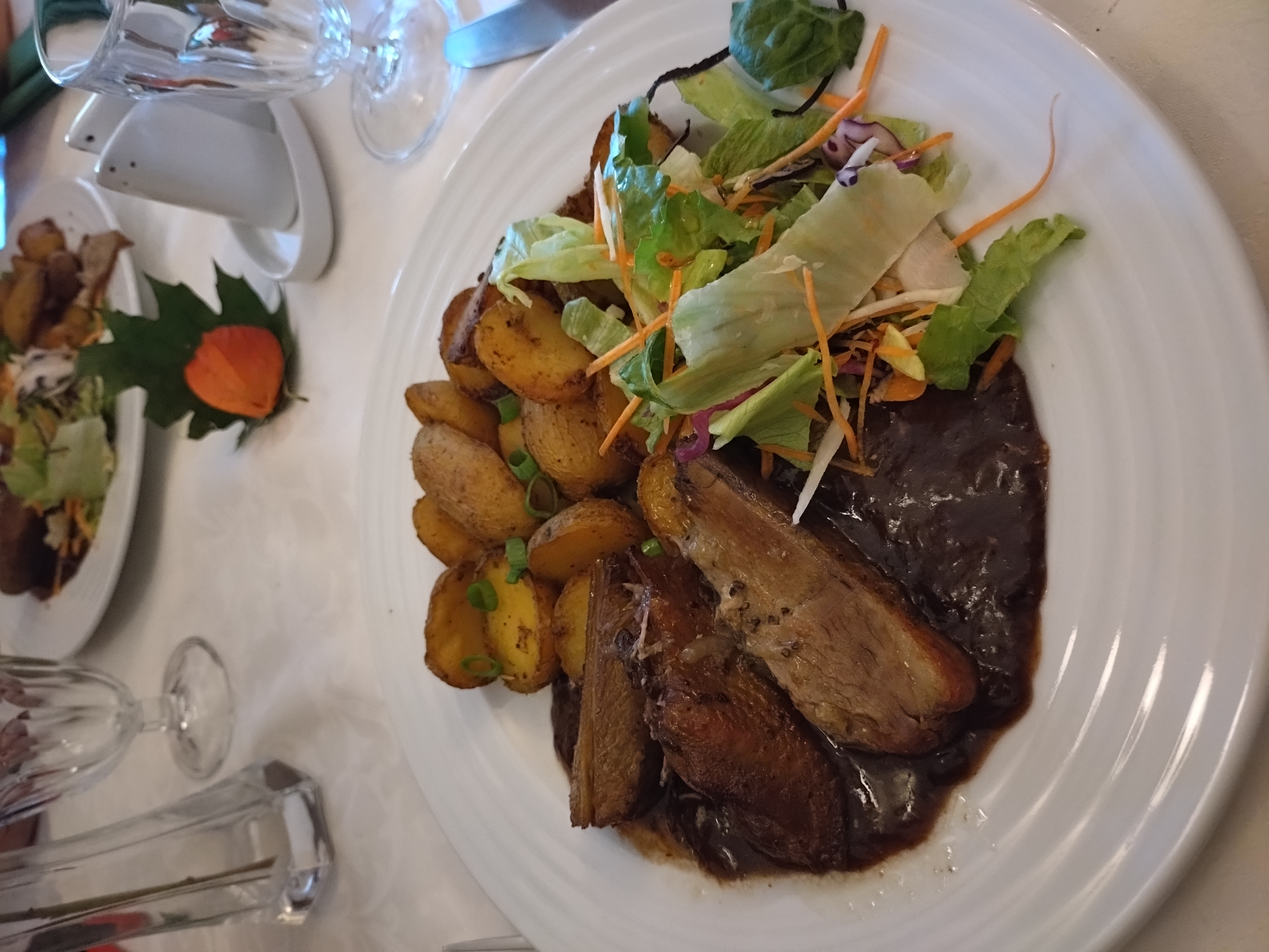Penzion Velký mlýn Hlučín - restaurace foto 4