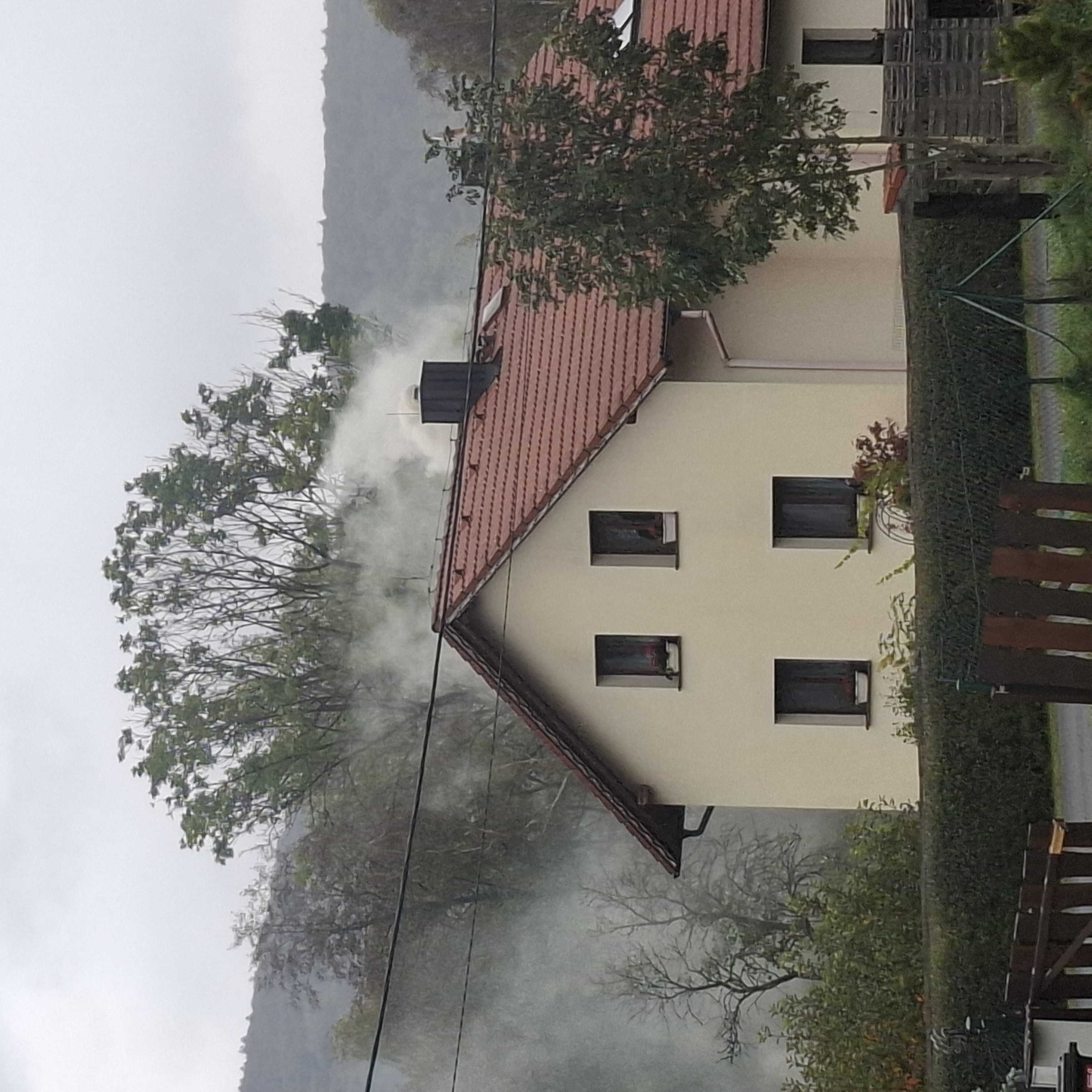 Palivové dřevo Feil foto 4