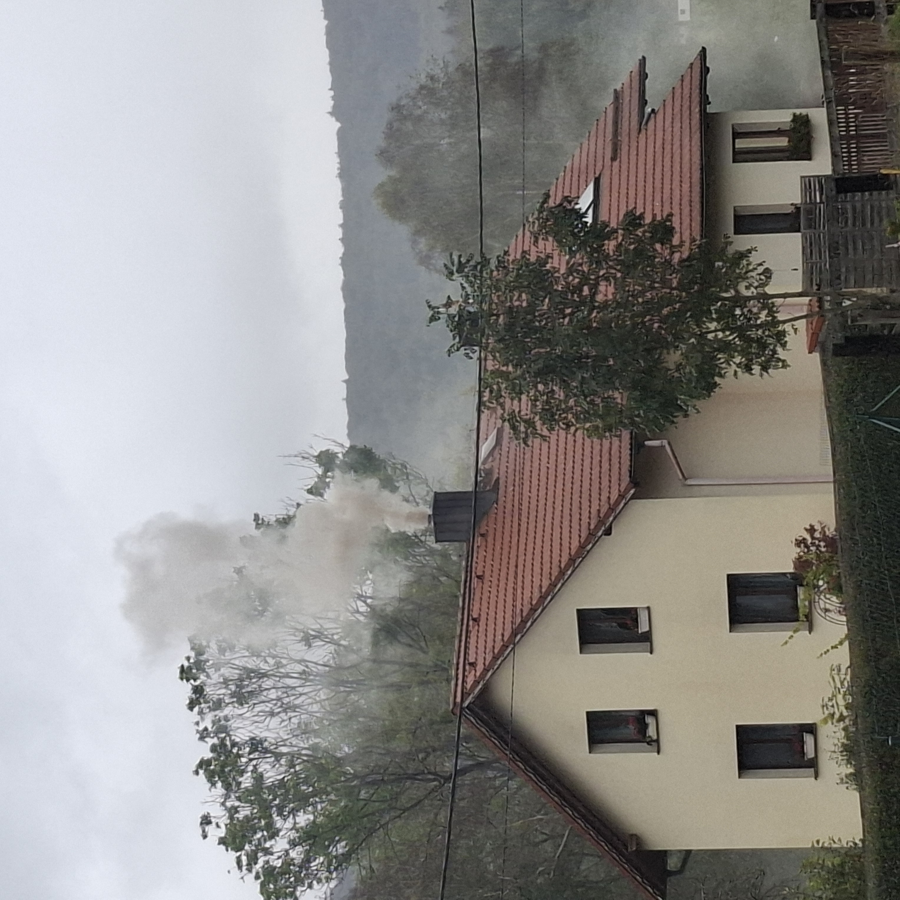 Palivové dřevo Feil foto 2