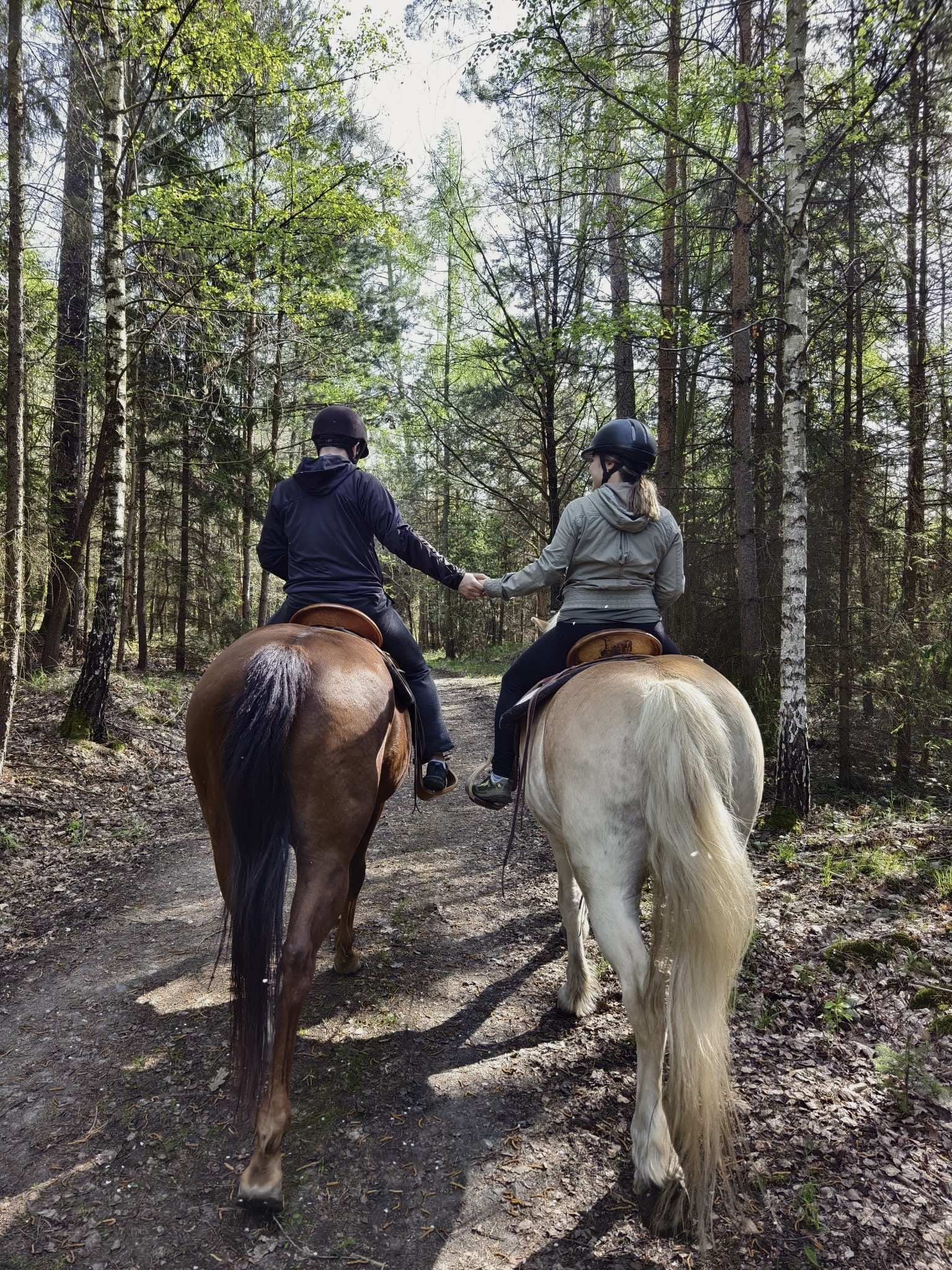 Ranč Setkání - vyjížďky na koních foto 6